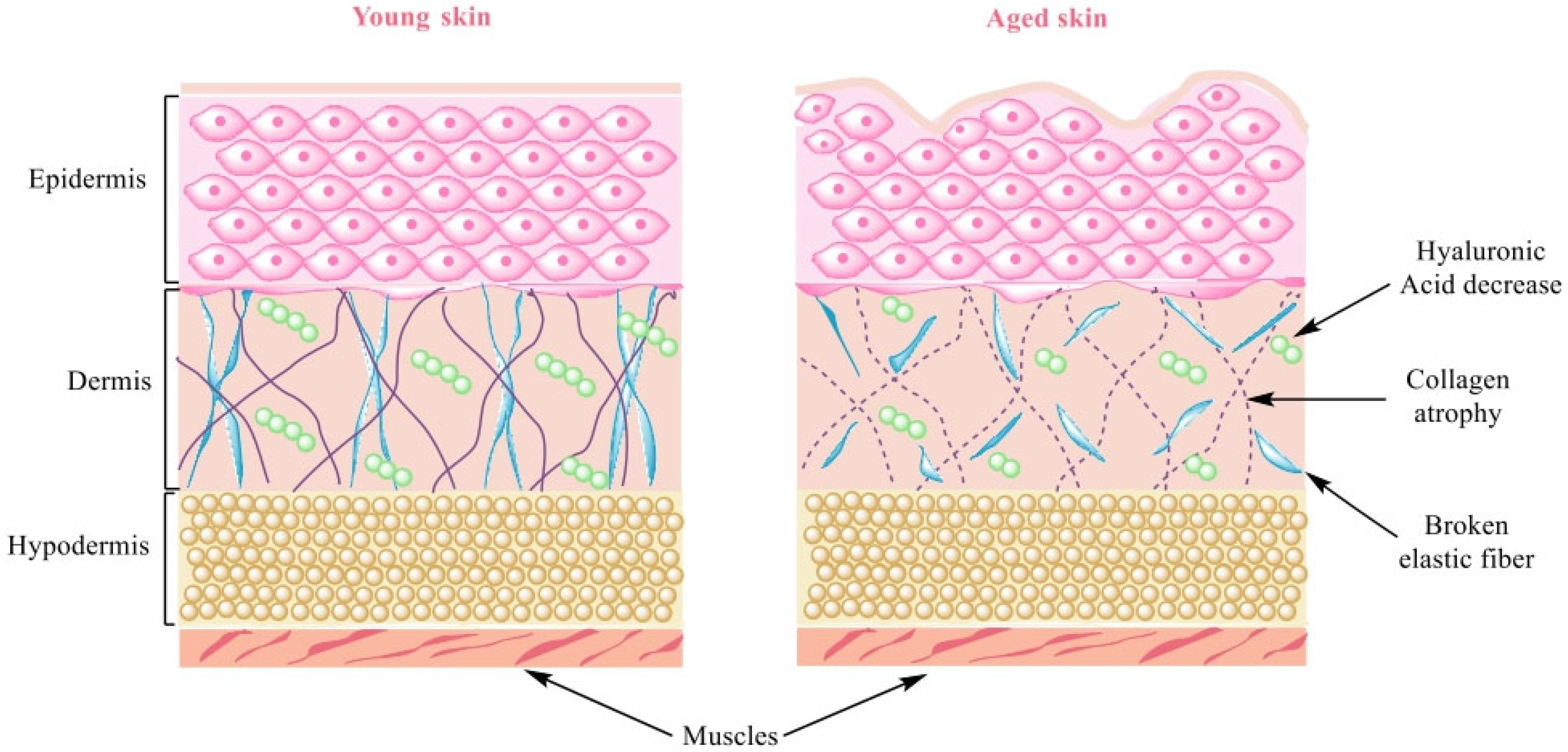 Polymers 15 04134 g001