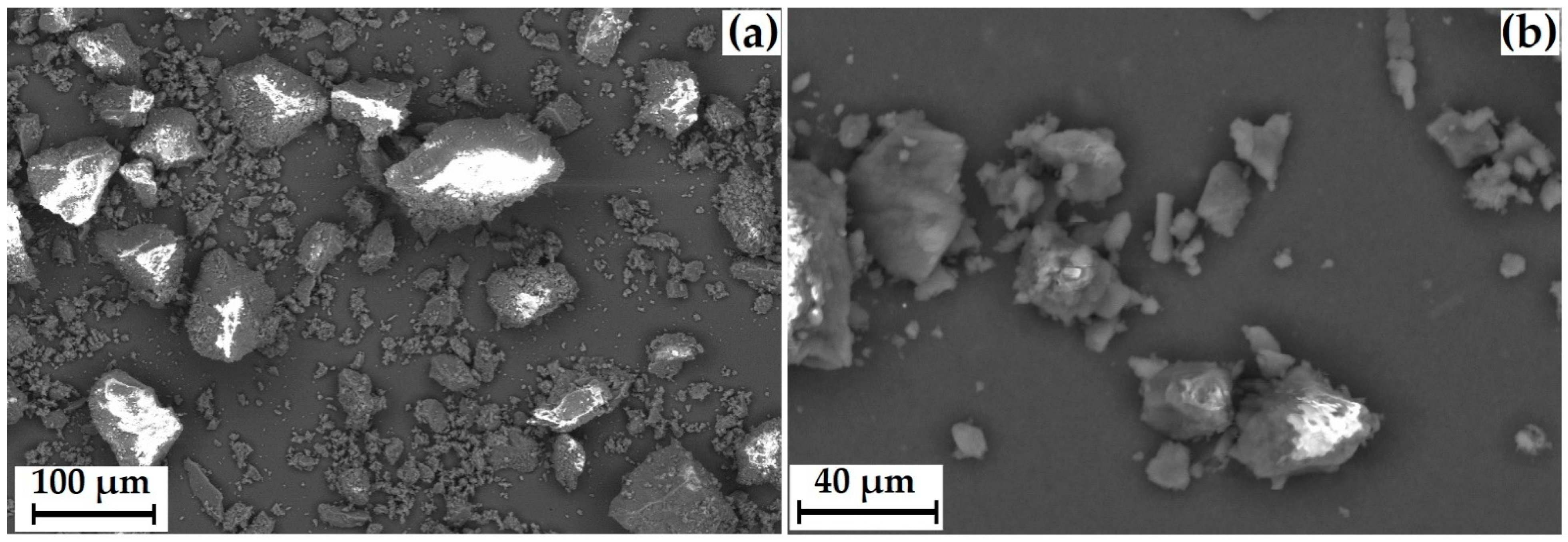 Polymers 15 04136 g003a