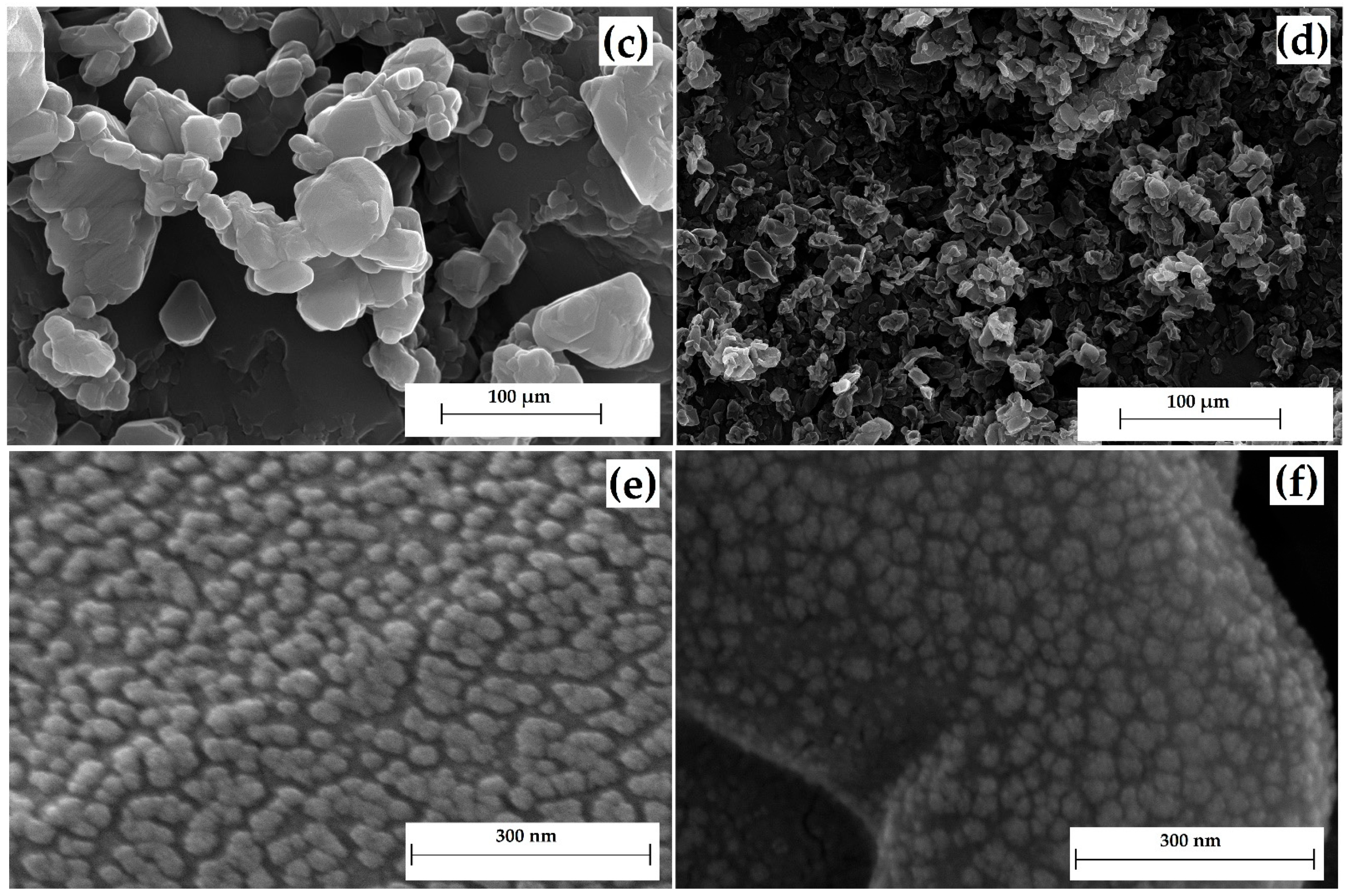Polymers 15 04136 g004b