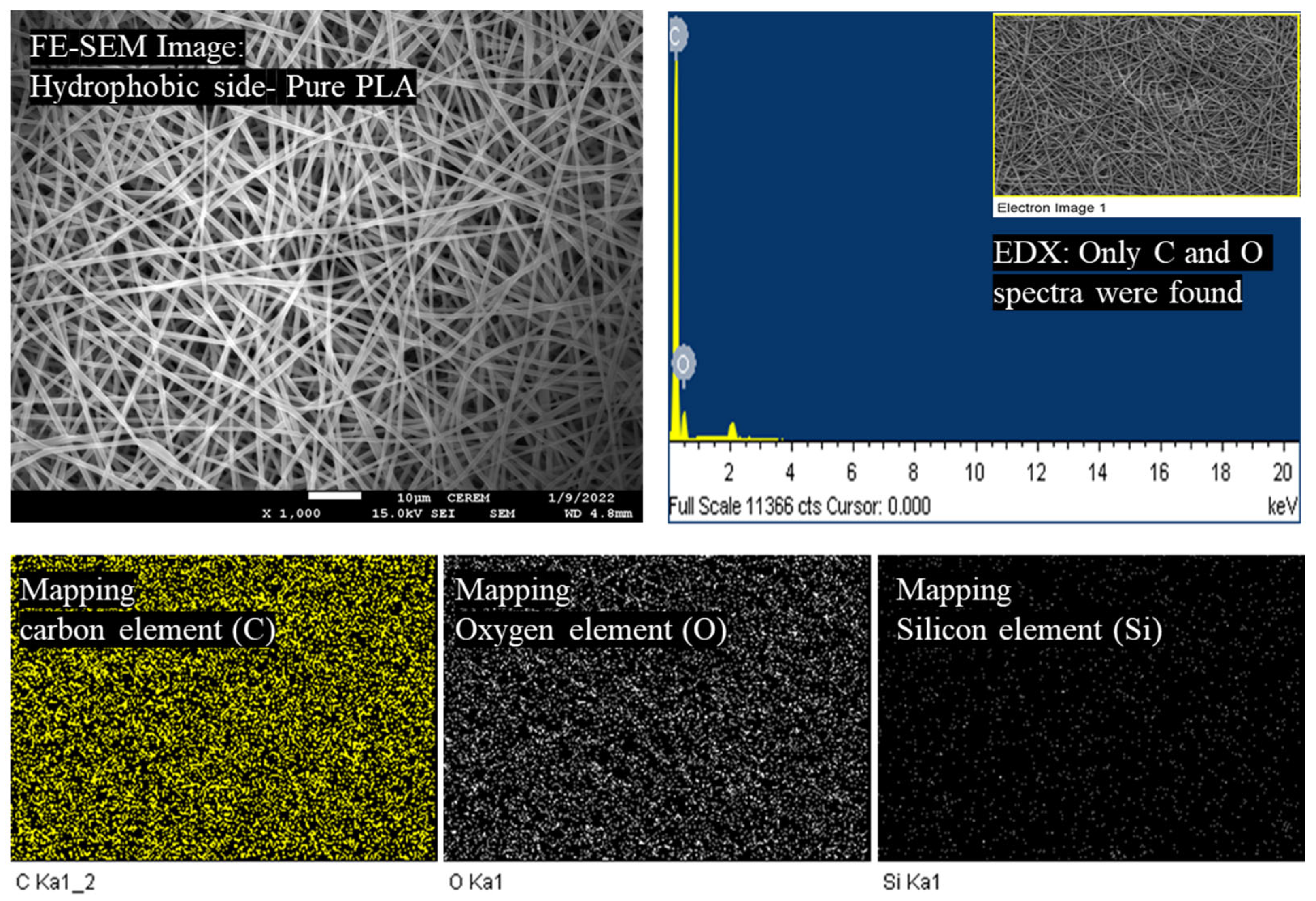 Polymers 15 04139 g001