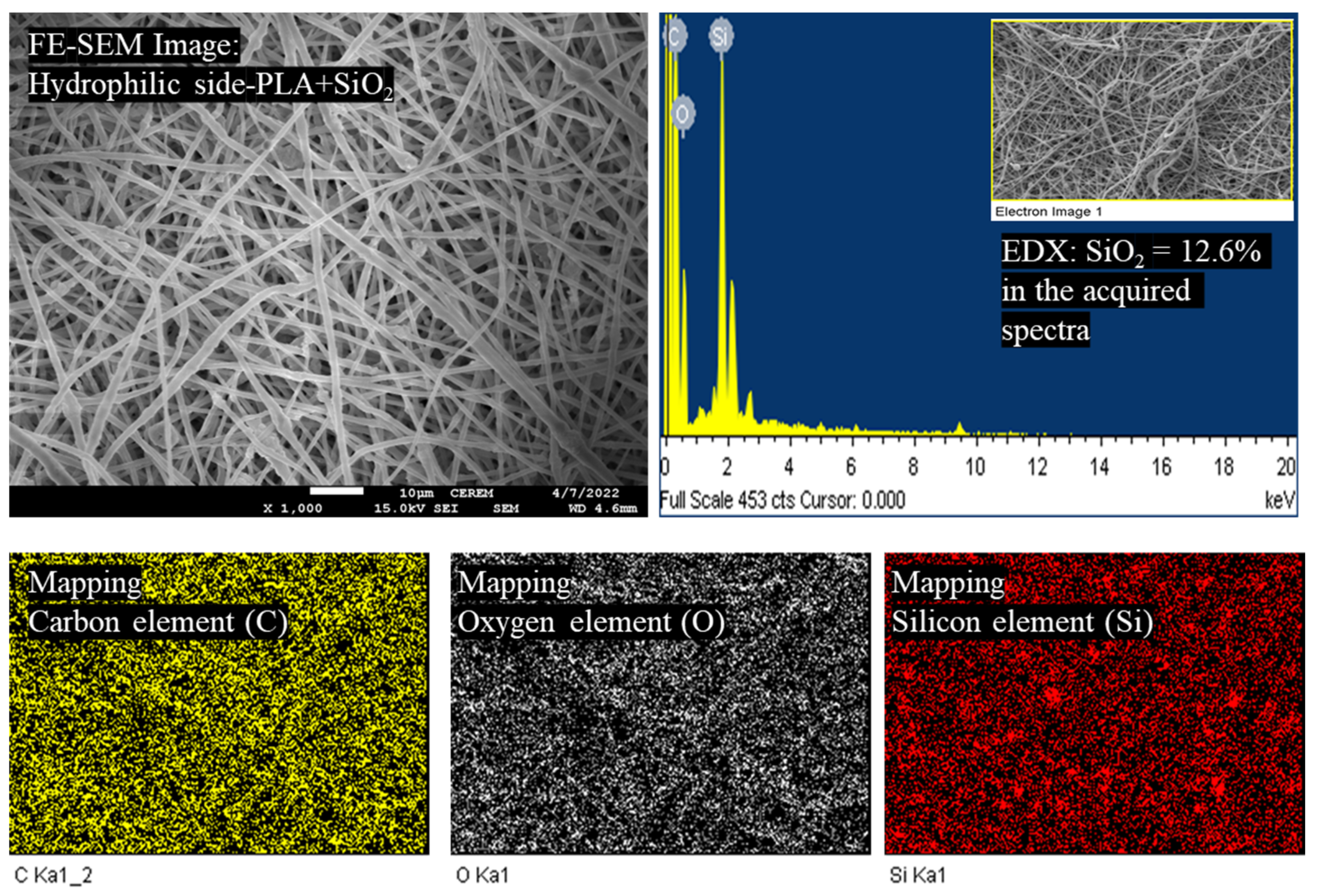 Polymers 15 04139 g002