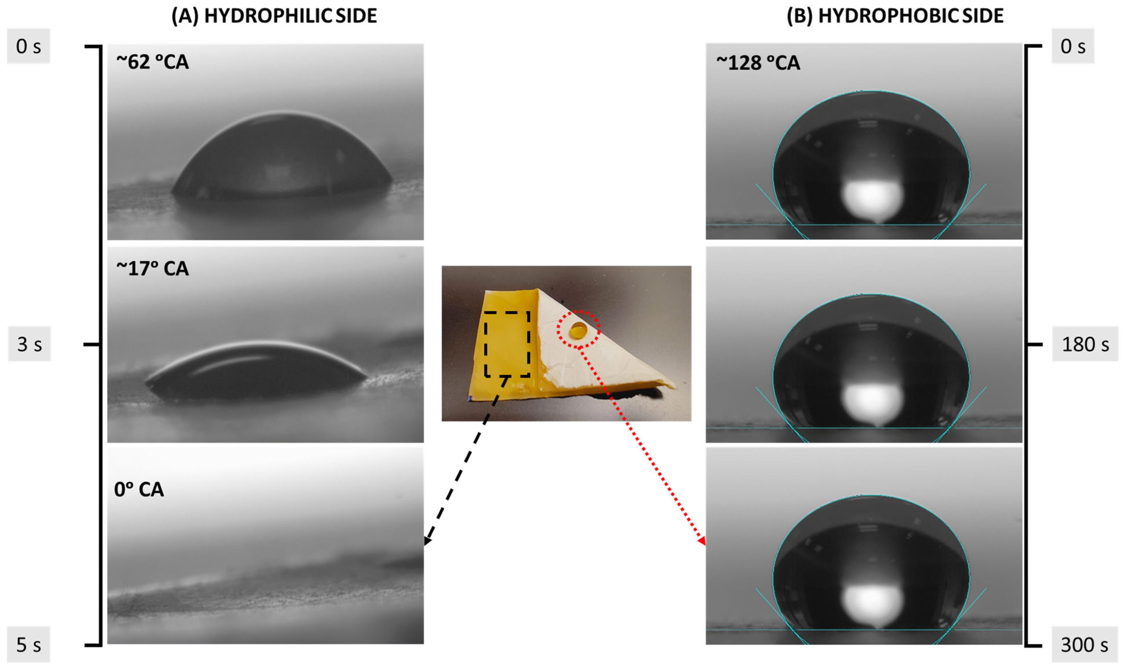 Polymers 15 04139 g003