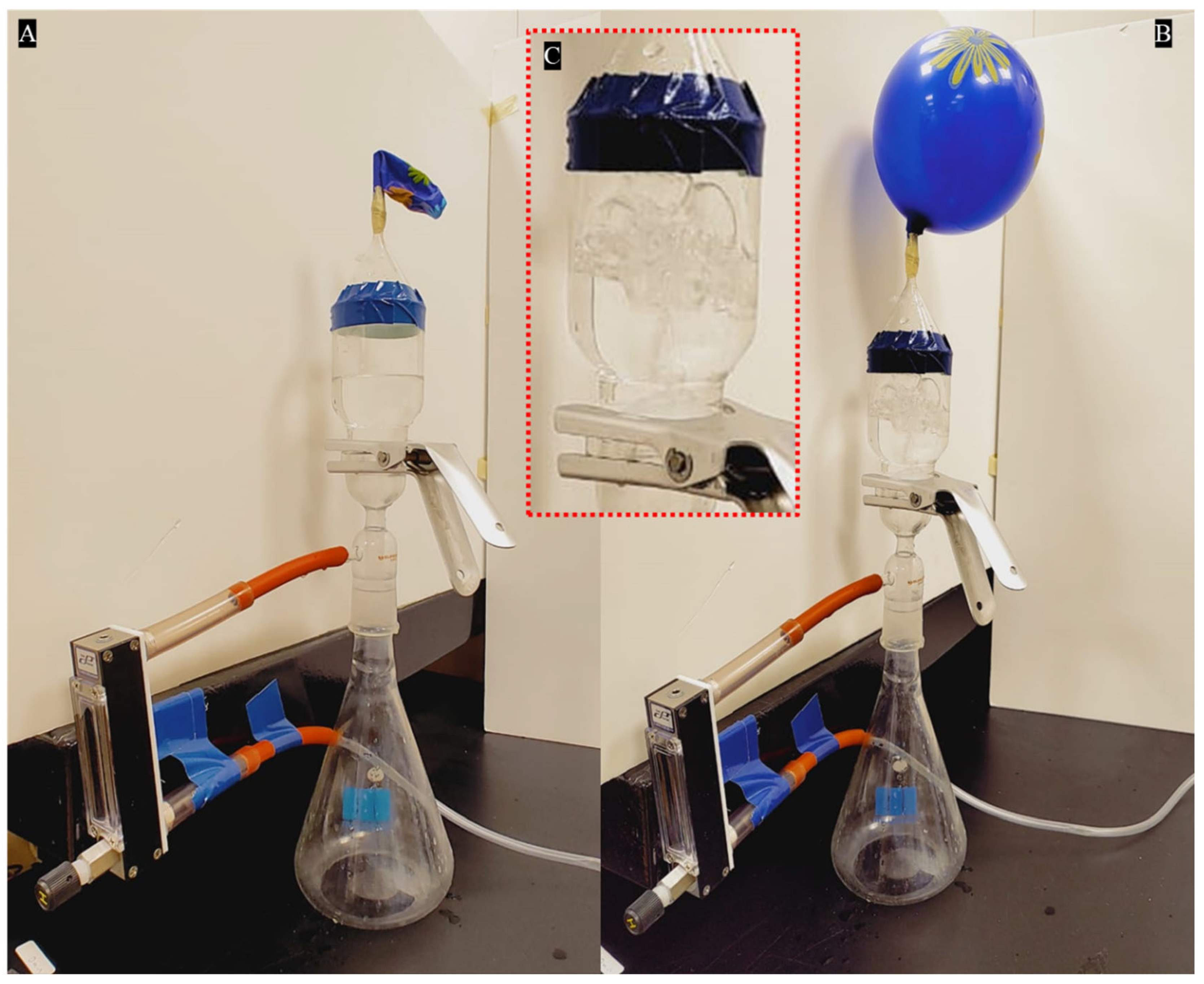 Polymers 15 04139 g004
