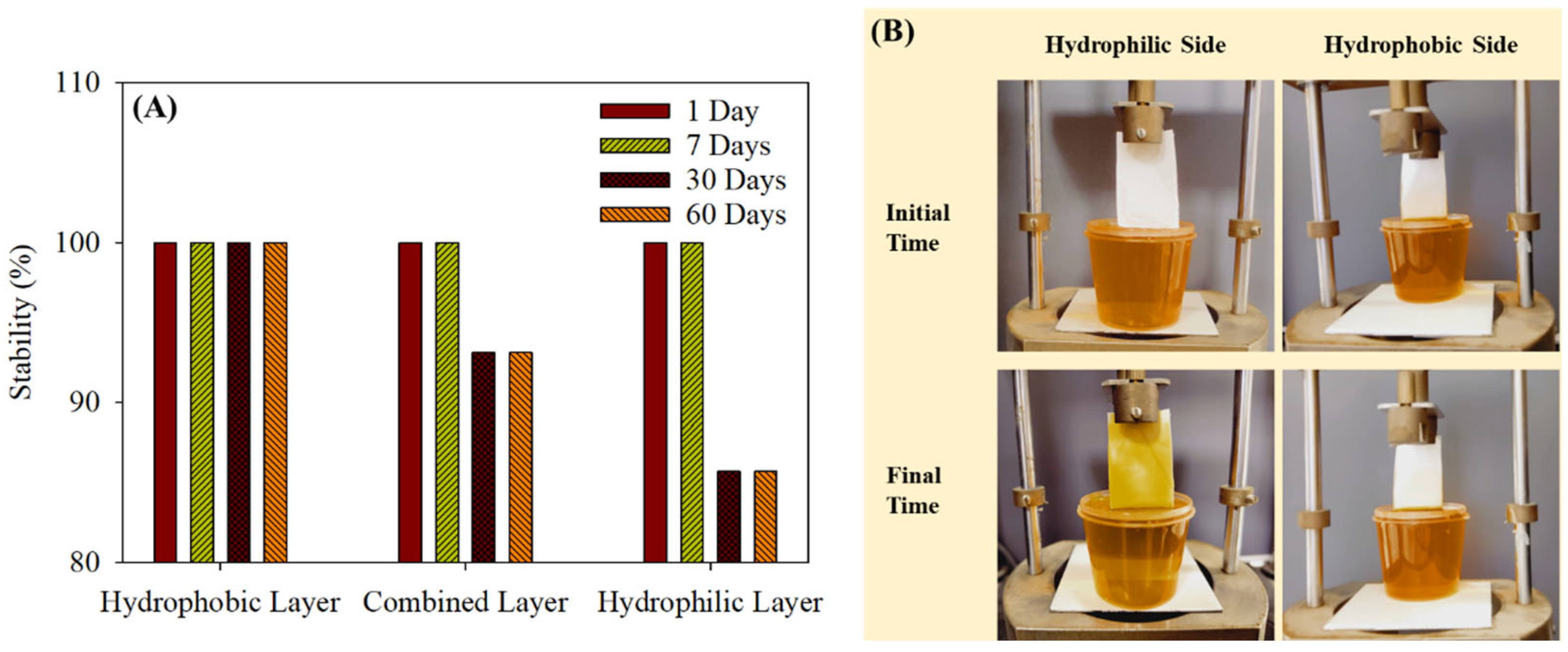 Polymers 15 04139 g006