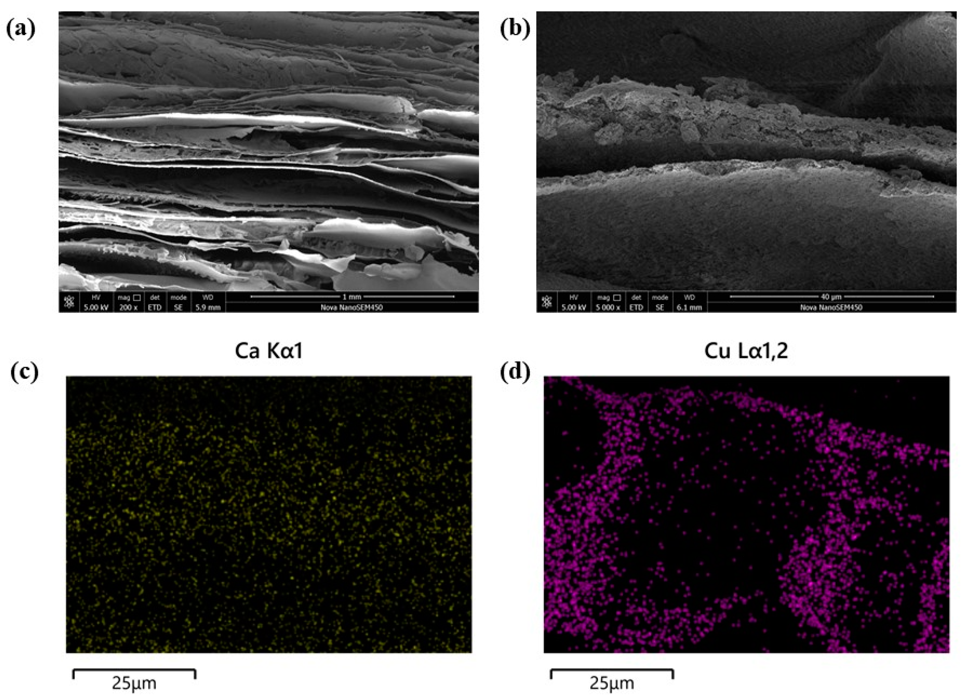 Polymers 15 04144 g003