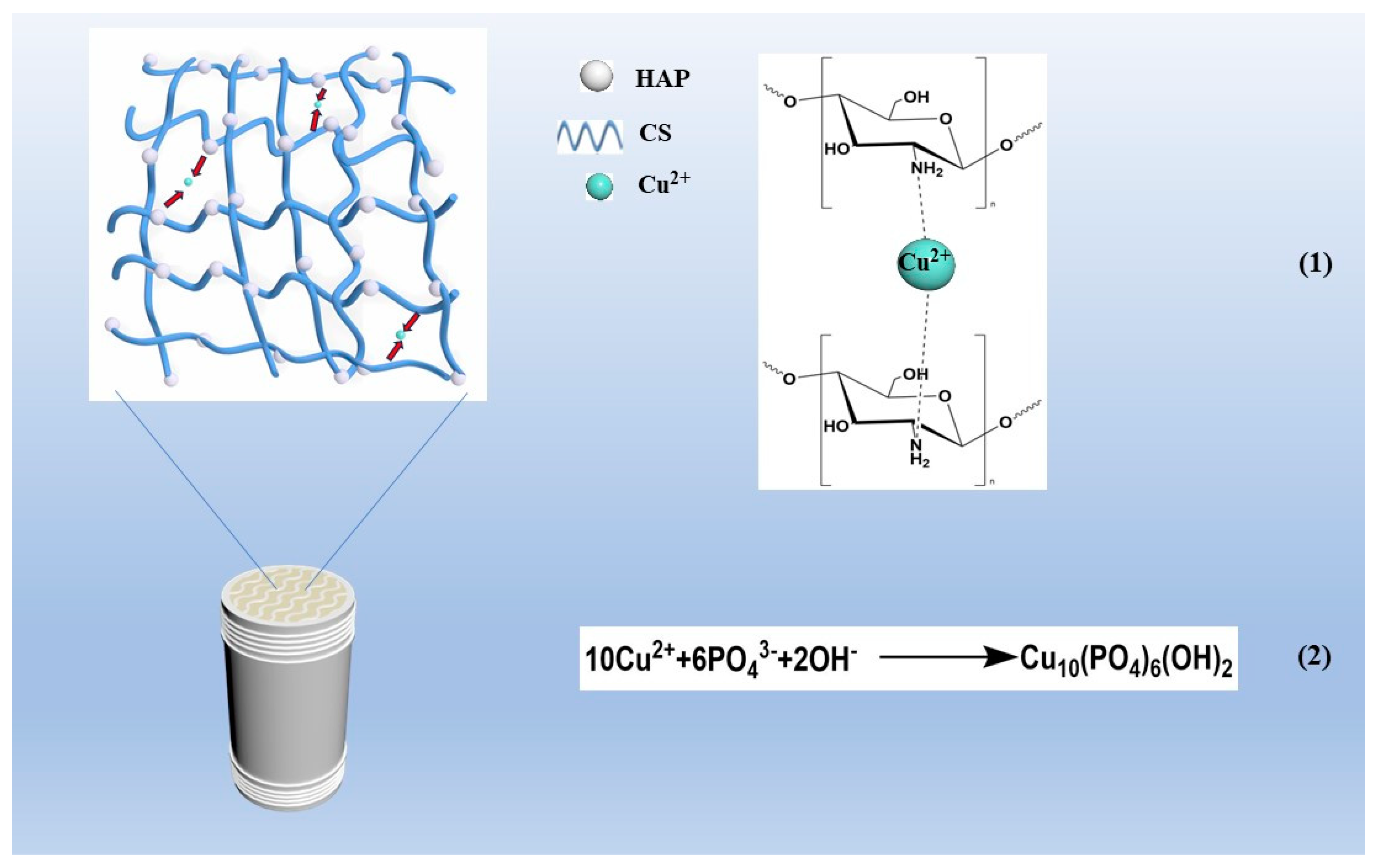 Polymers 15 04144 g016