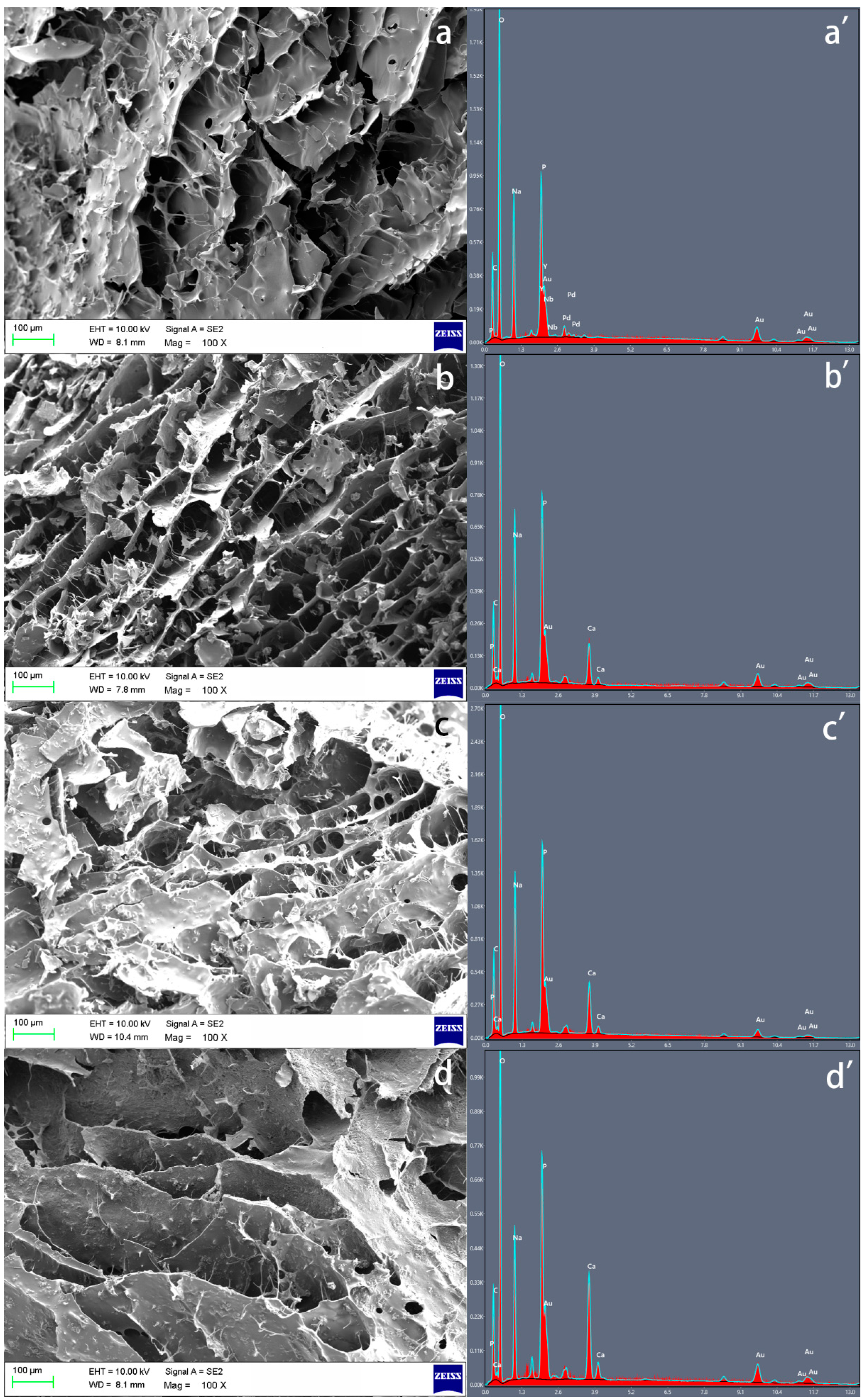 Polymers 15 04146 g002 Polymers 15 04146 g002