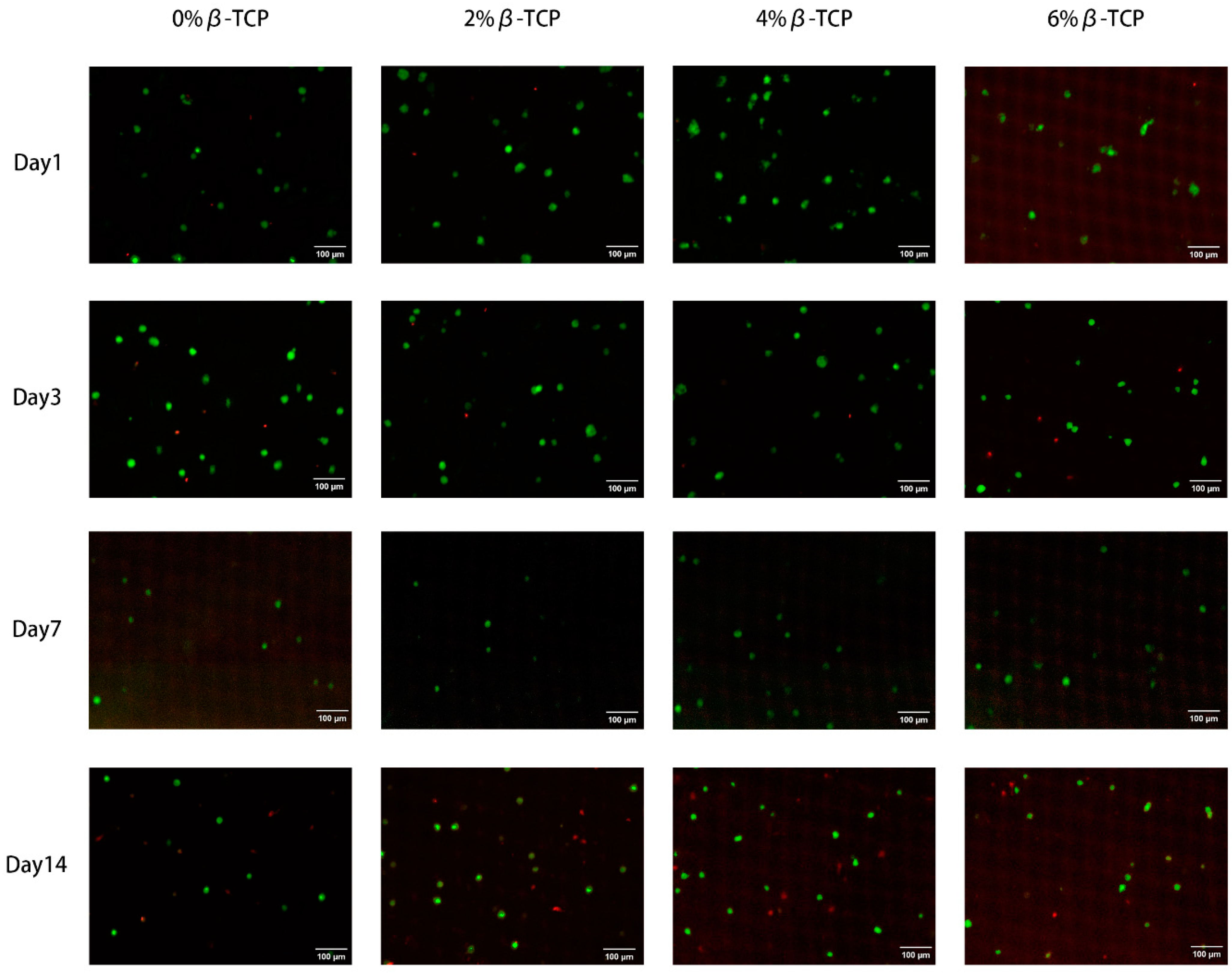 Polymers 15 04146 g007 Polymers 15 04146 g007