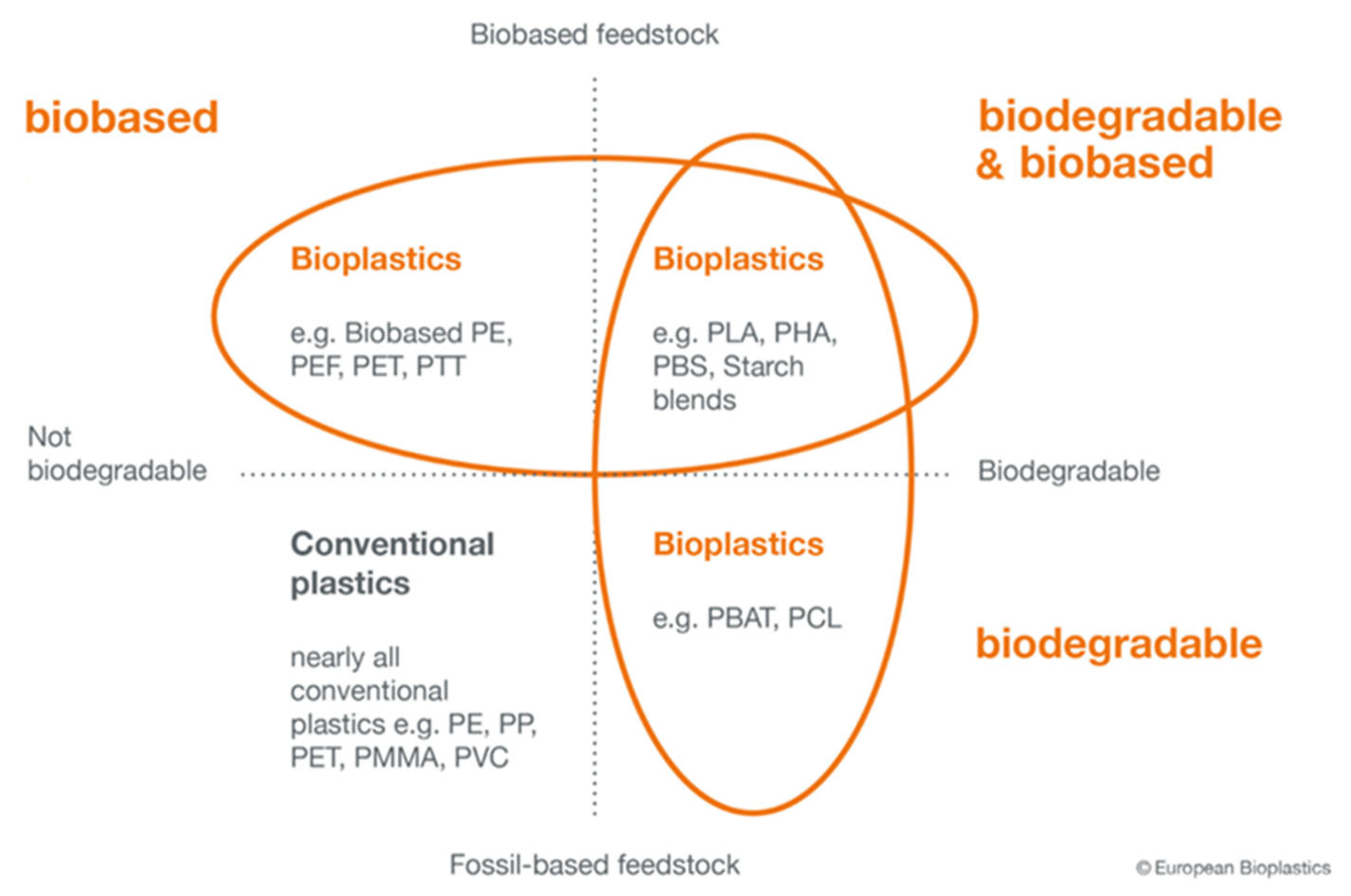 Polymers 15 04154 g002
