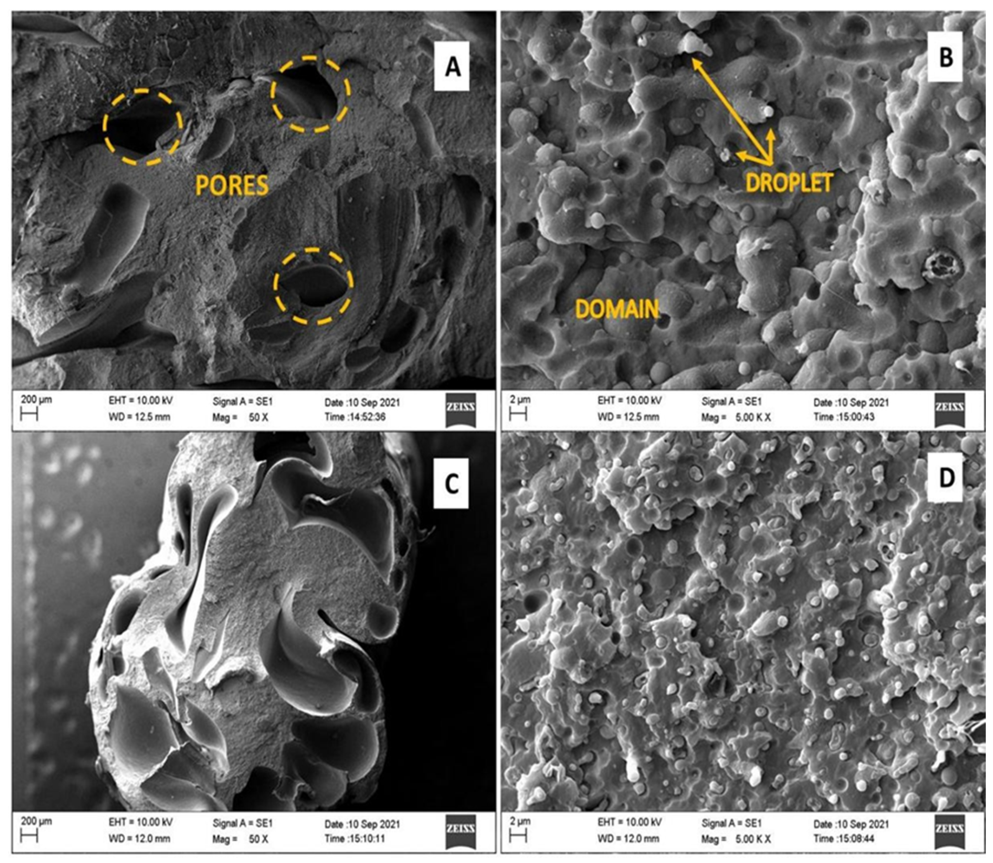Polymers 15 04155 g006 Polymers 15 04155 g006