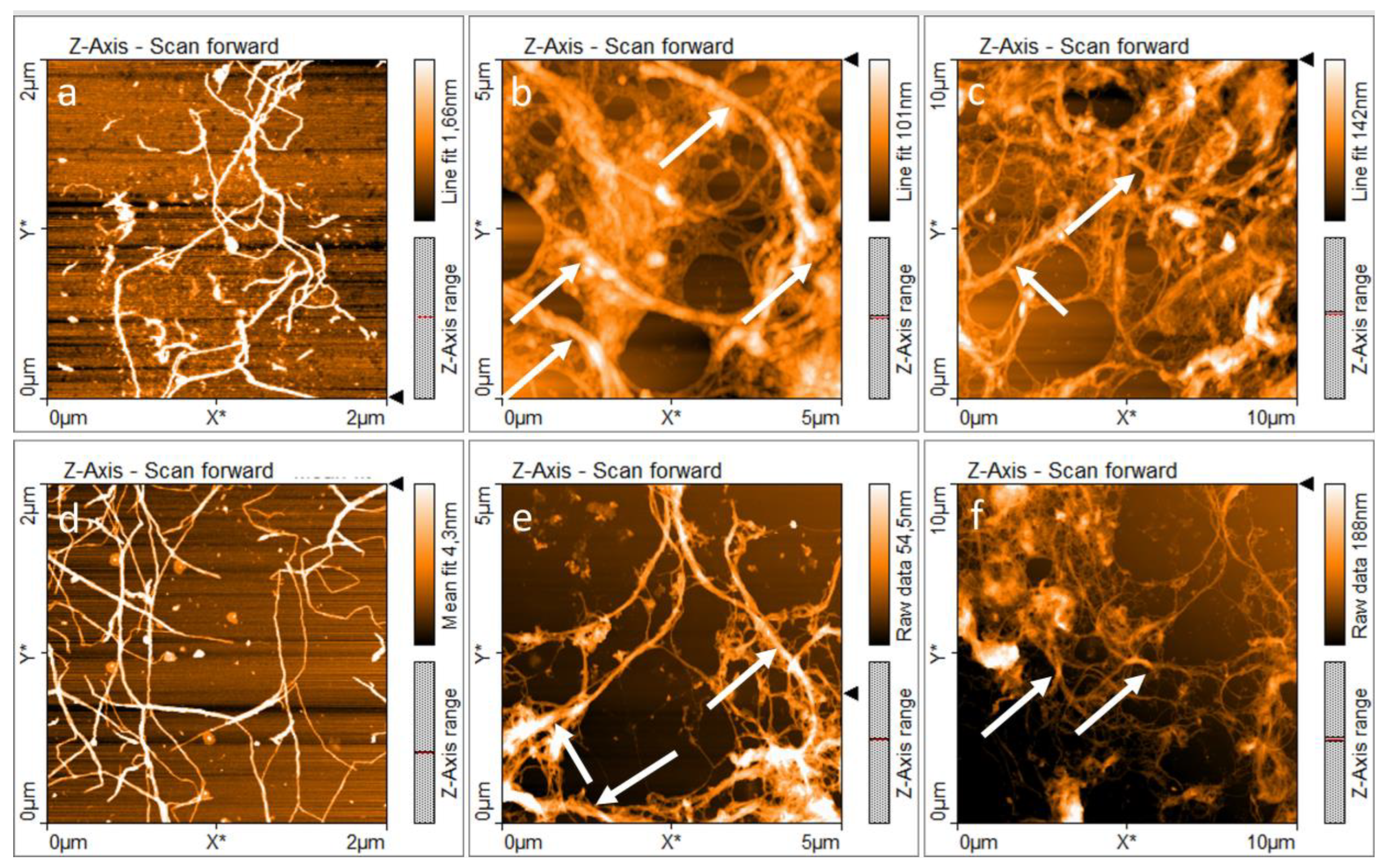 Polymers 15 04157 g003