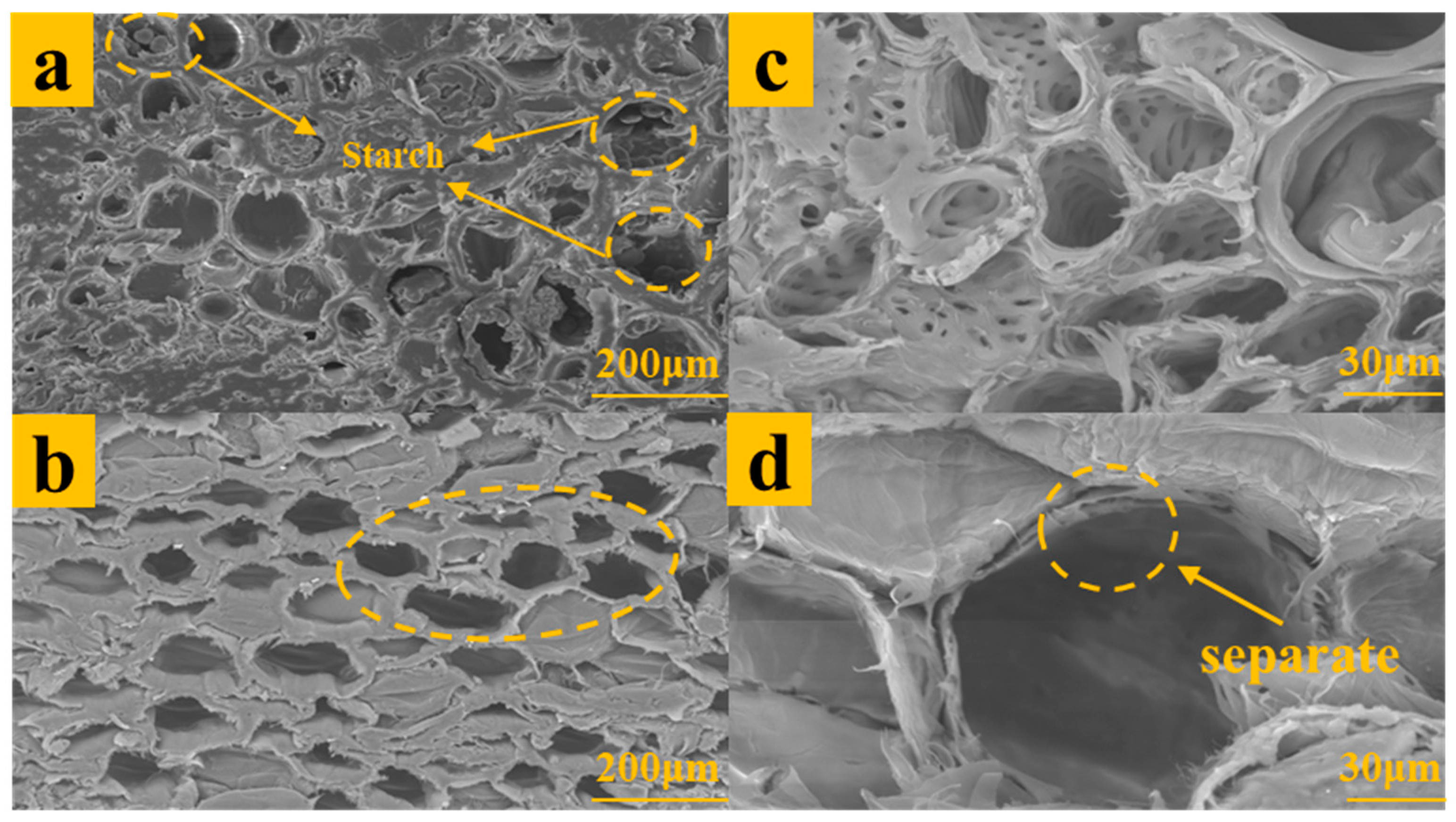 Polymers 15 04162 g004 Polymers 15 04162 g004