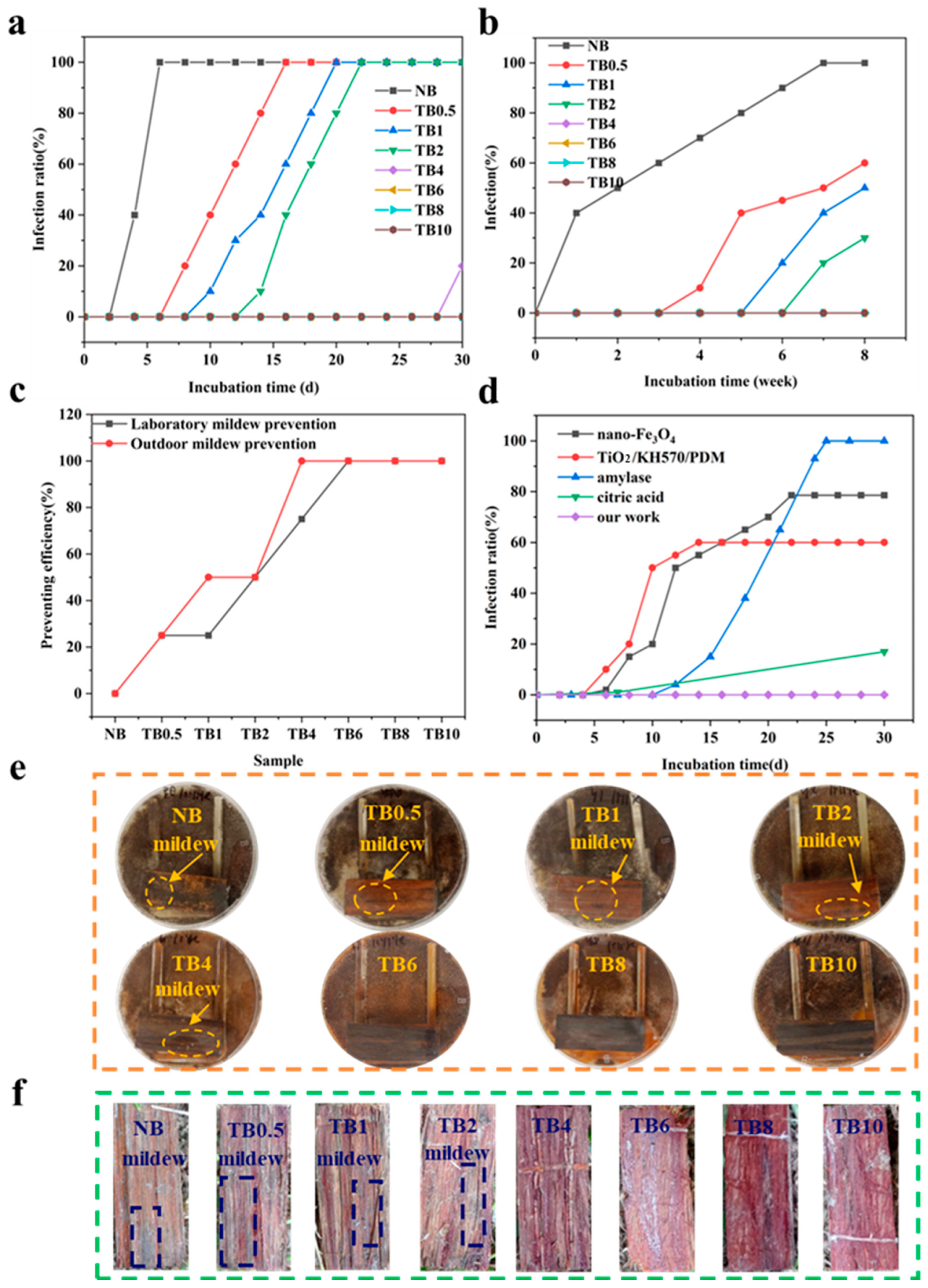 Polymers 15 04162 g005 Polymers 15 04162 g005