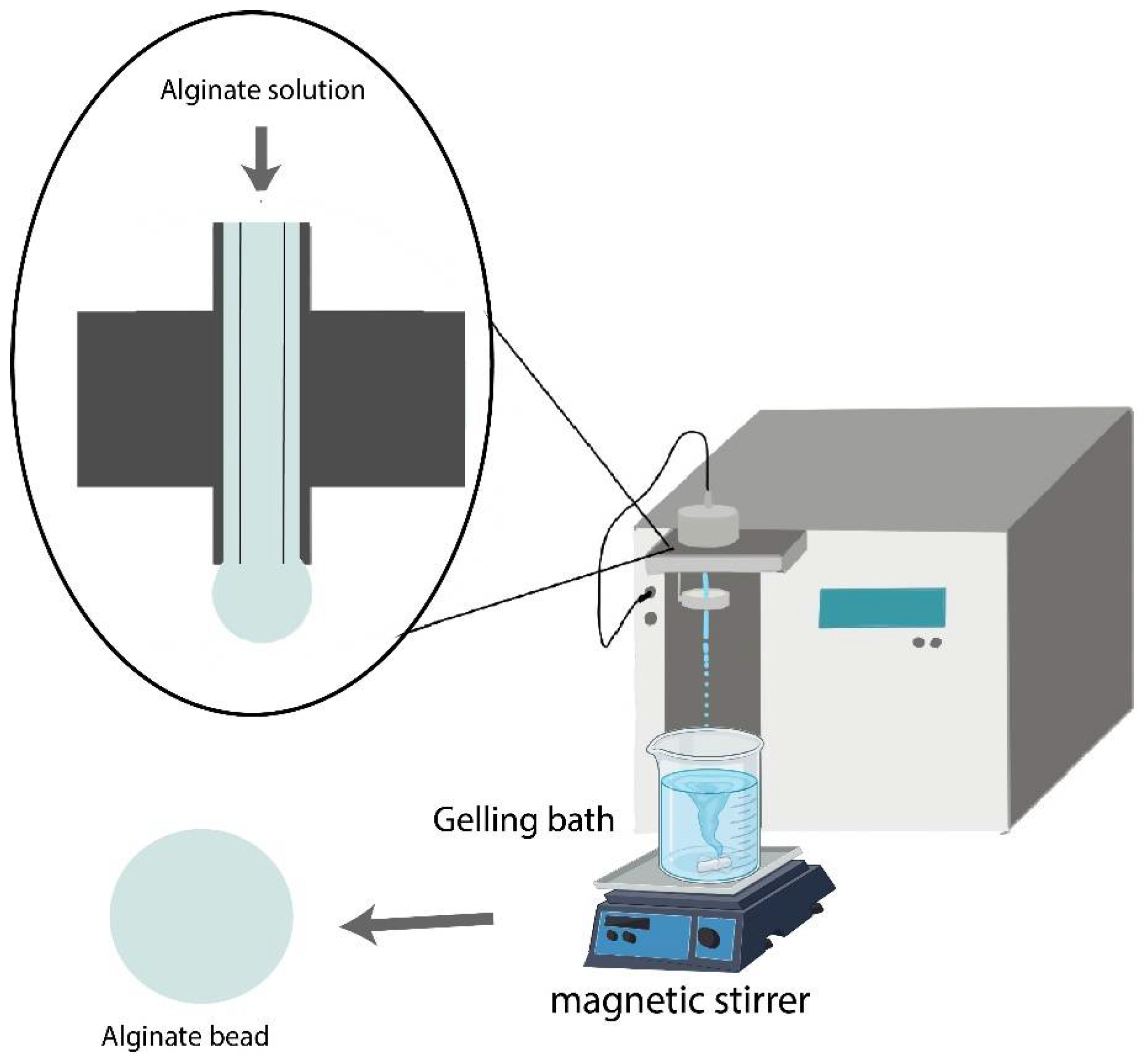 Polymers 15 04163 g001
