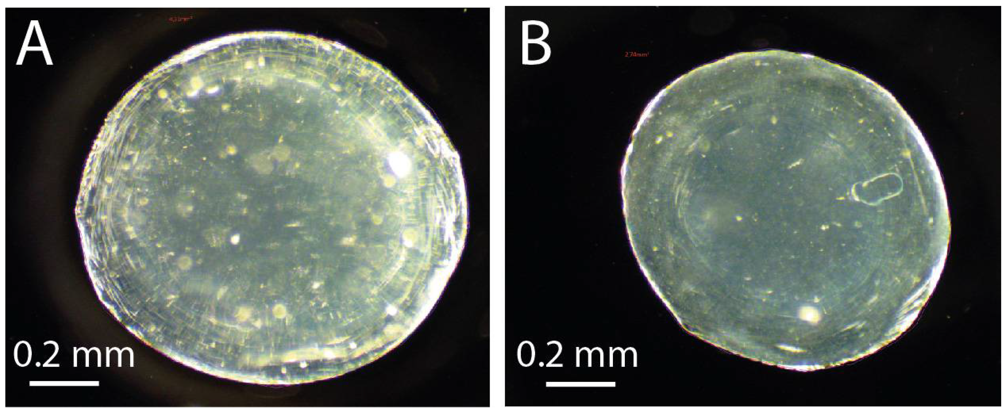 Polymers 15 04163 g004