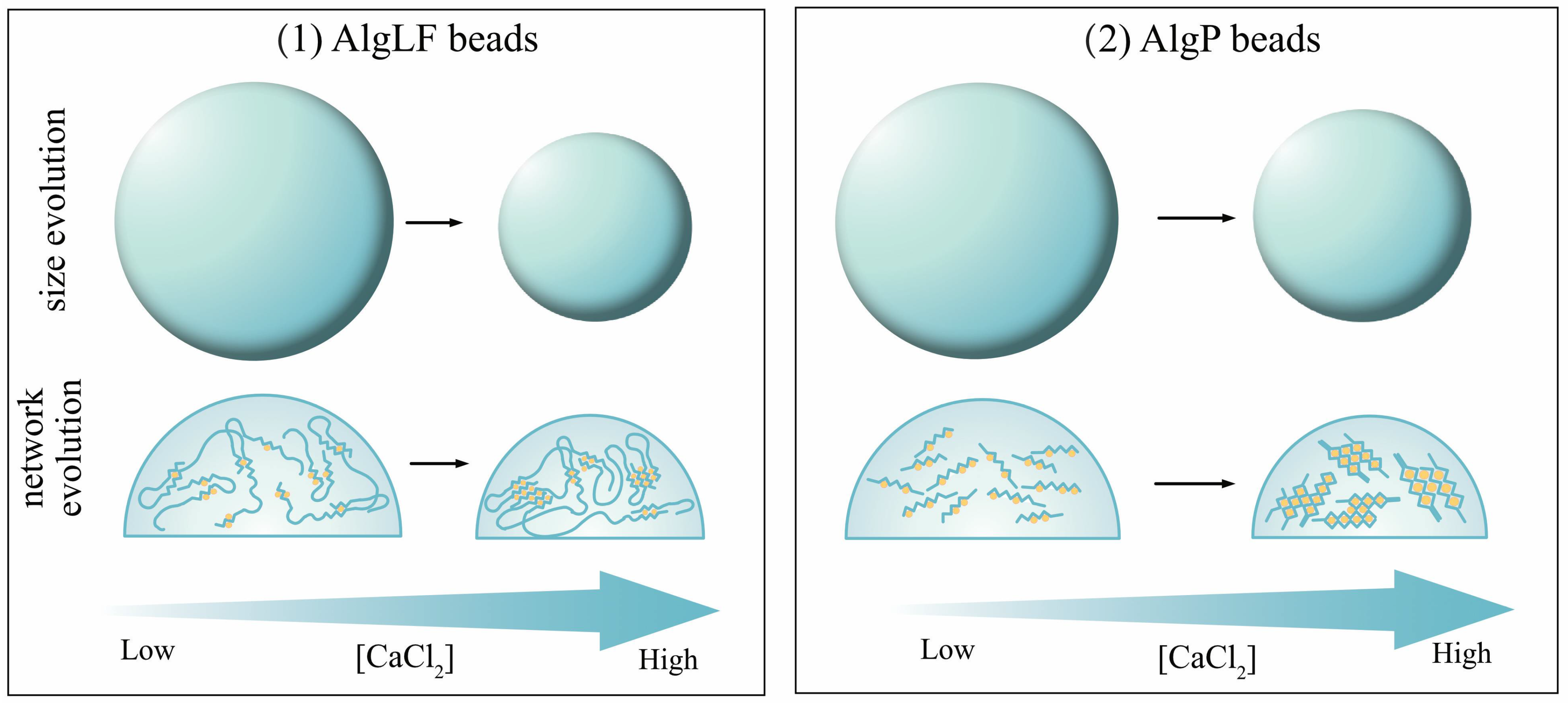 Polymers 15 04163 g009