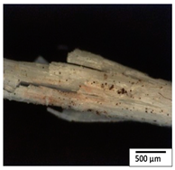 Polymers 15 04164 i011
