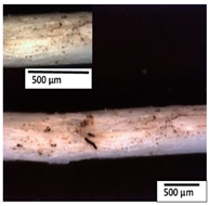 Polymers 15 04164 i012