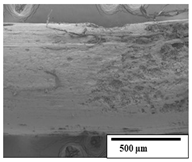 Polymers 15 04164 i021