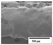 Polymers 15 04164 i028
