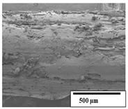 Polymers 15 04164 i029