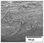 Polymers 15 04164 i035