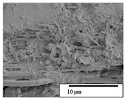 Polymers 15 04164 i045