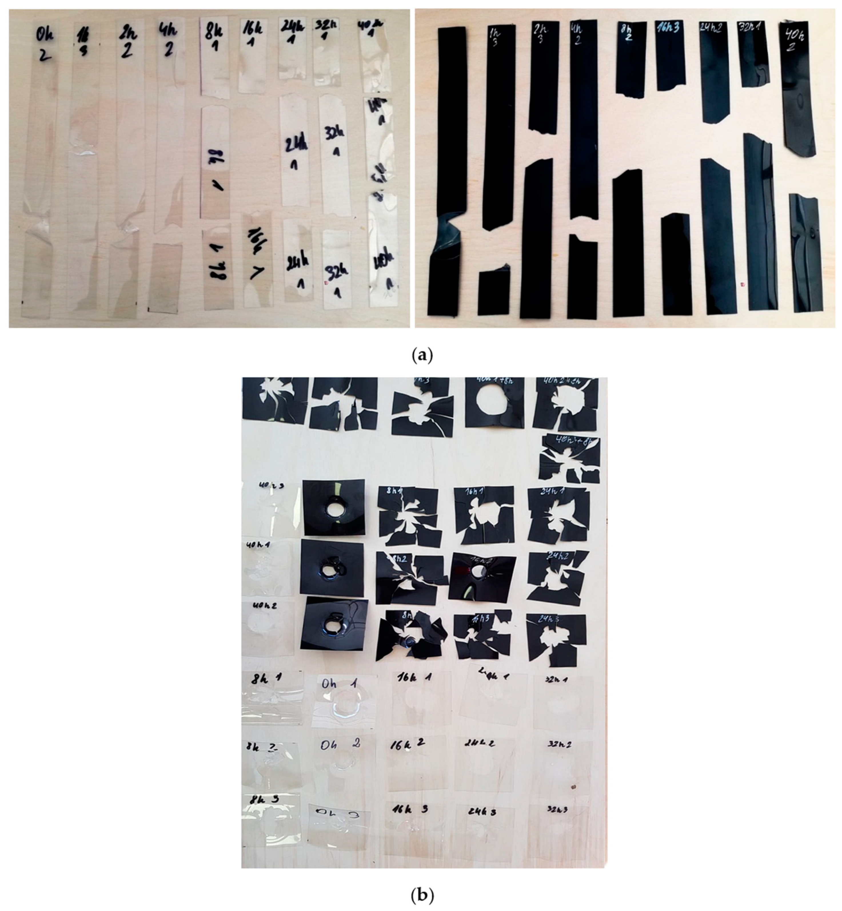 Polymers 15 04166 g005