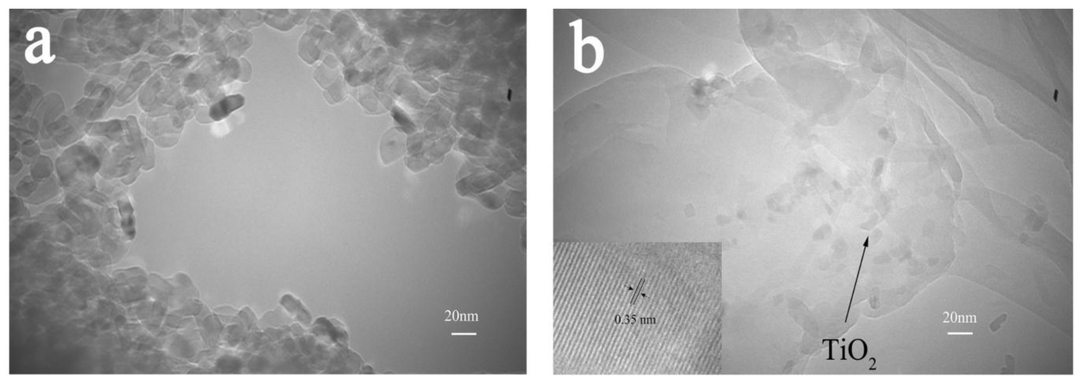 Polymers 15 04174 g006
