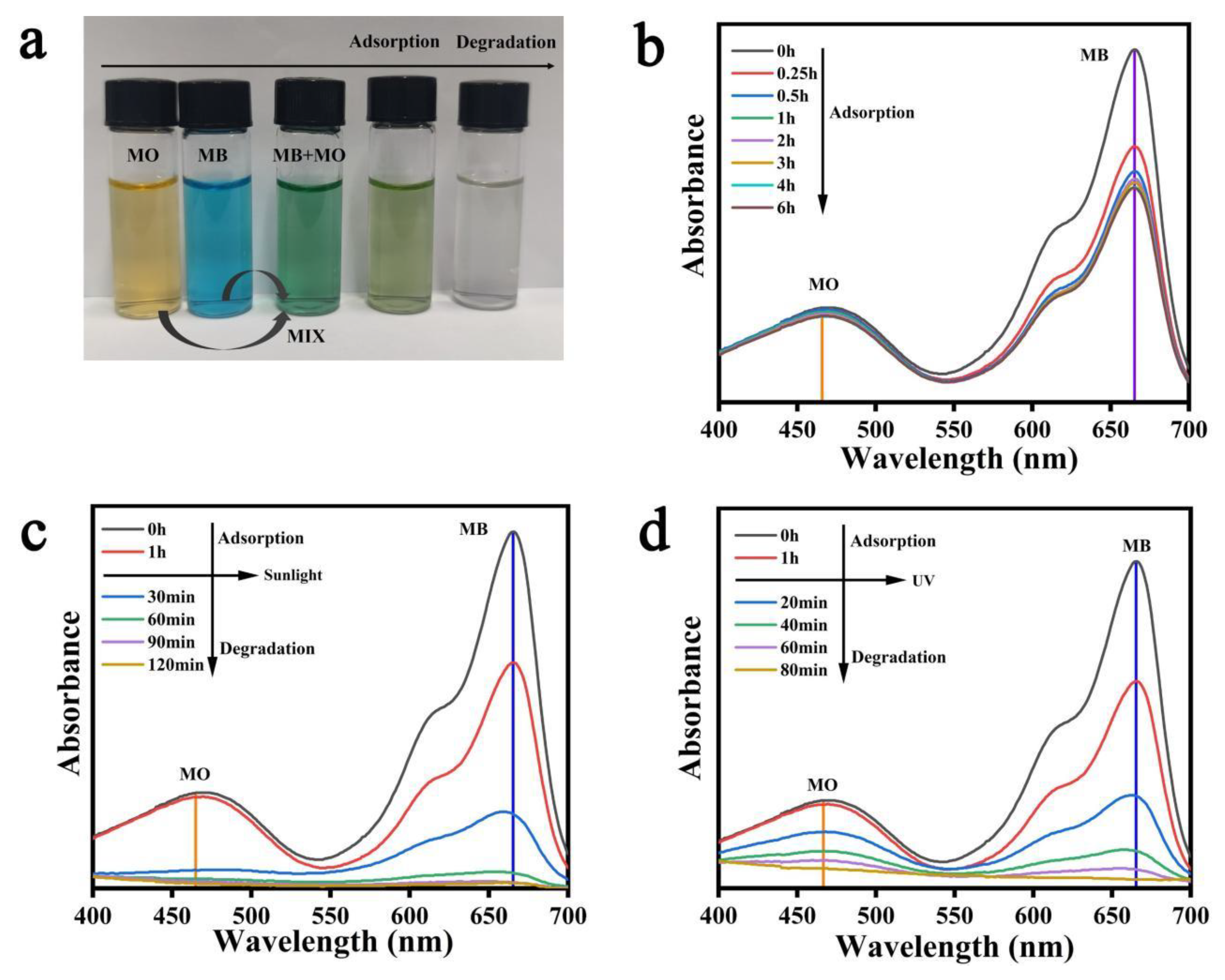 Polymers 15 04174 g012