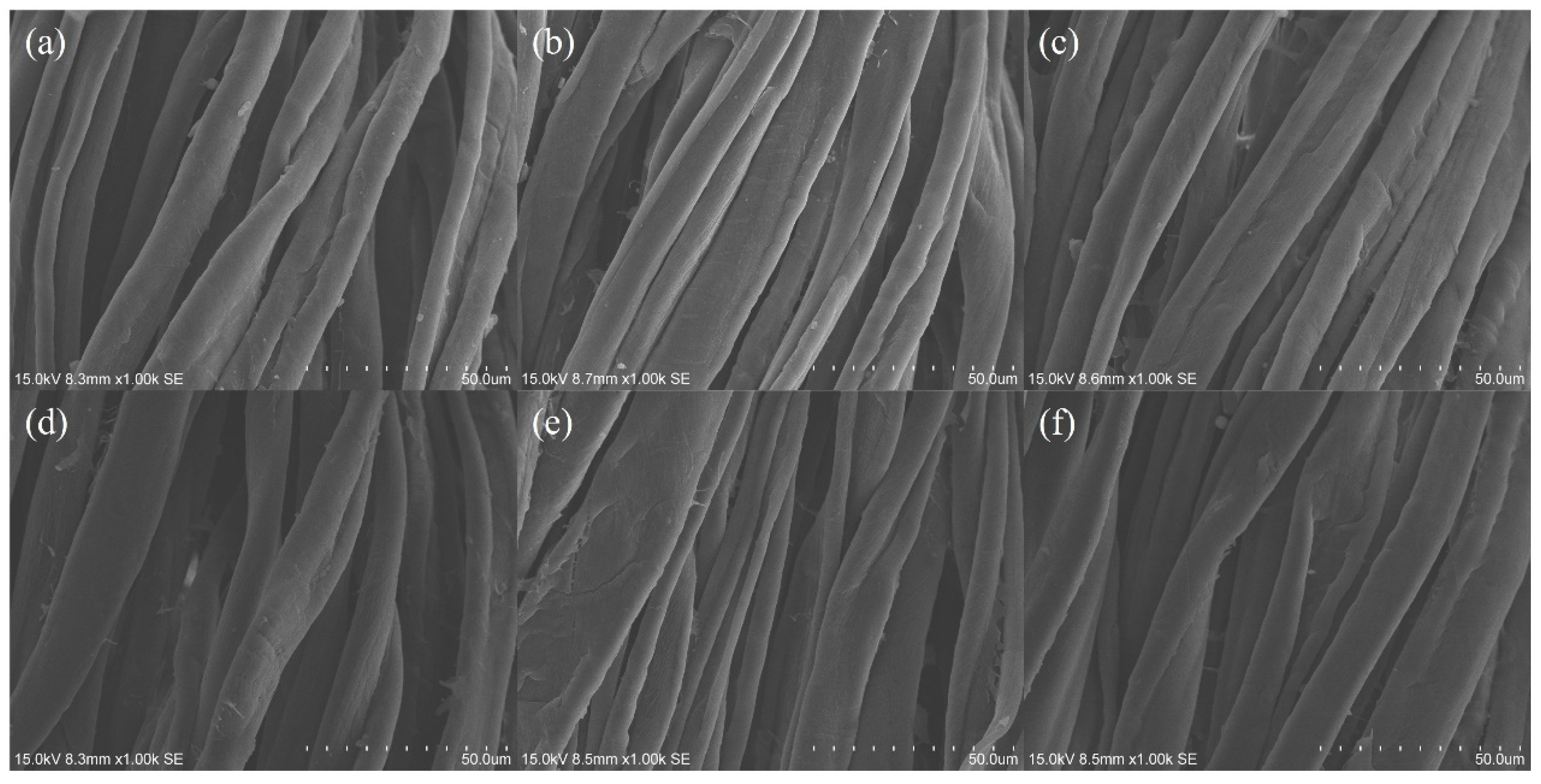 Polymers 15 04175 g008