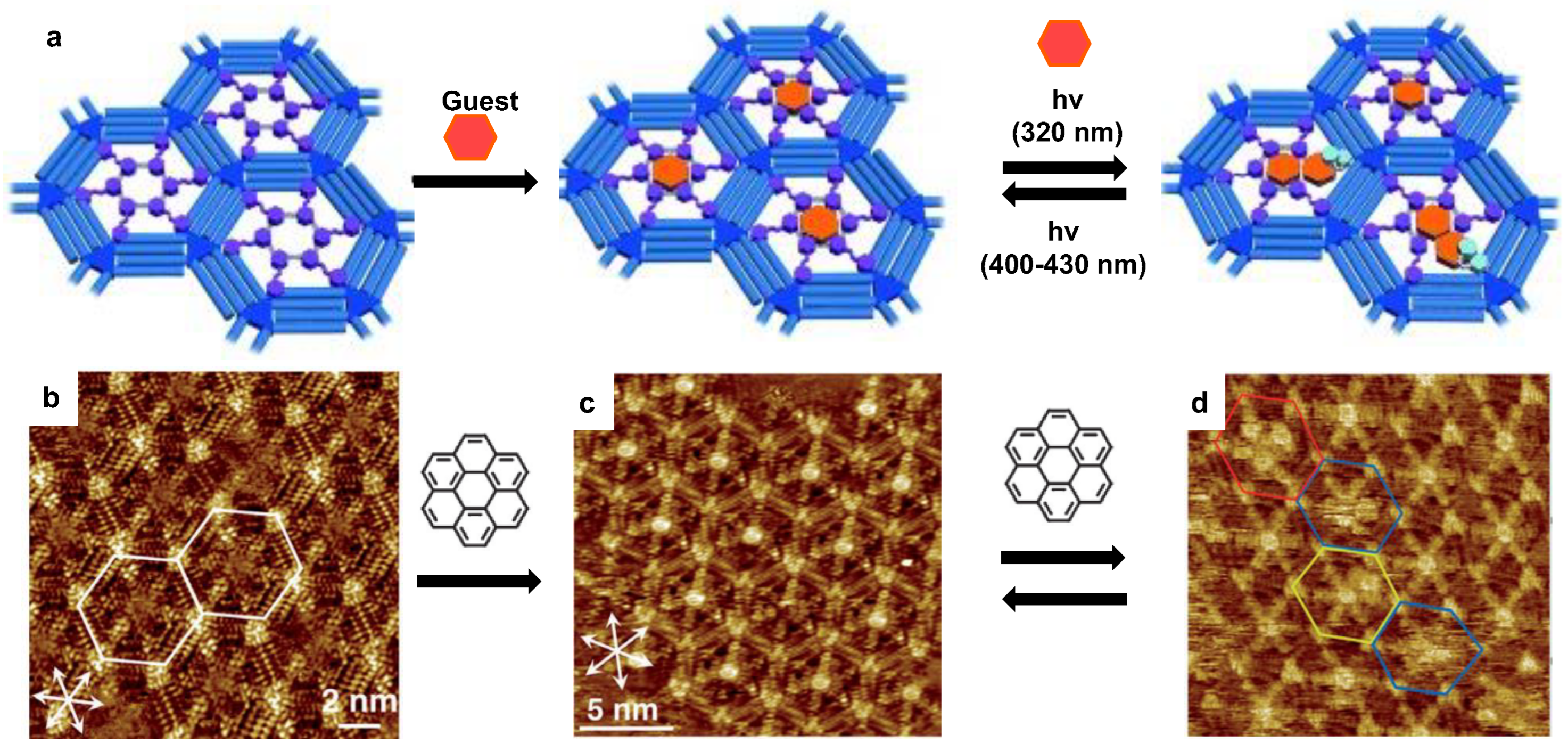Laser Direct Writing of Setaria Virids-Inspired Hierarchical