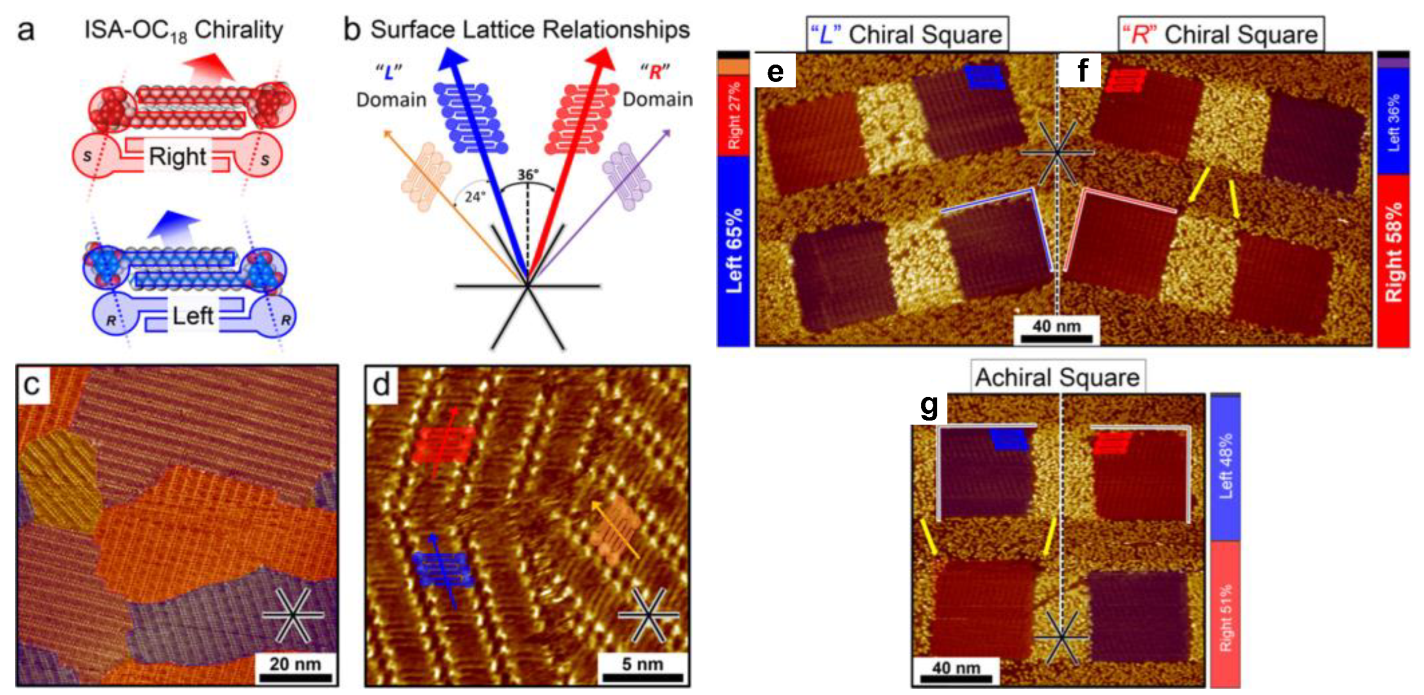 Manipulating Molecular Self-Assembly Process at the Solid
