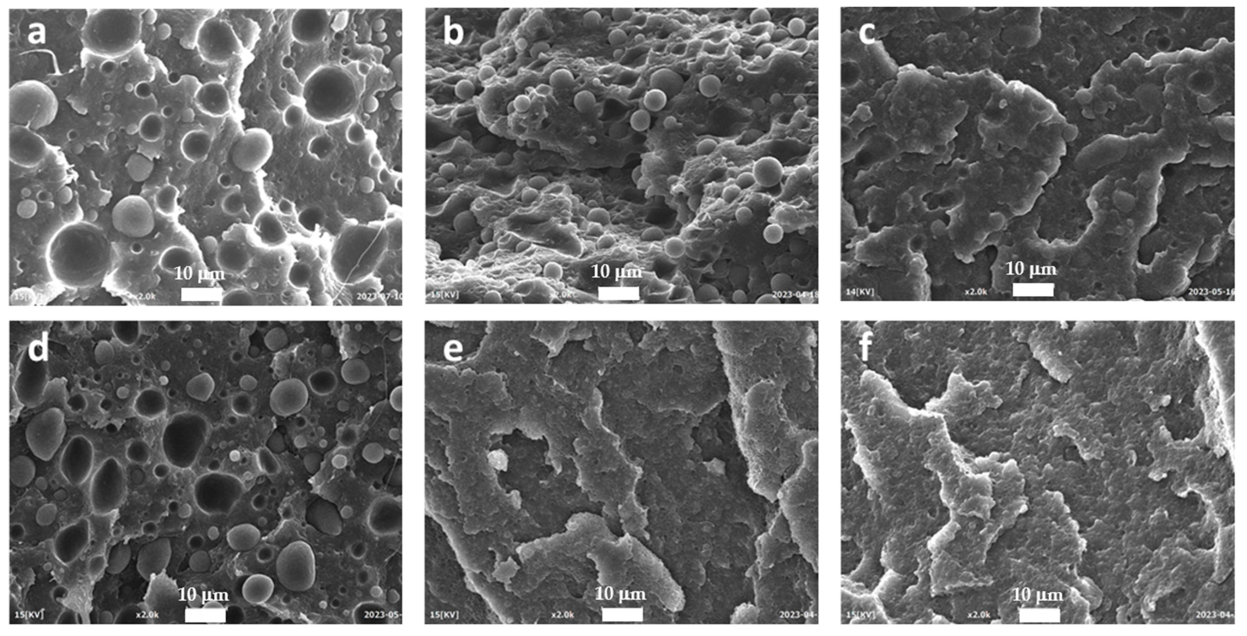 Polymers 15 04178 g006