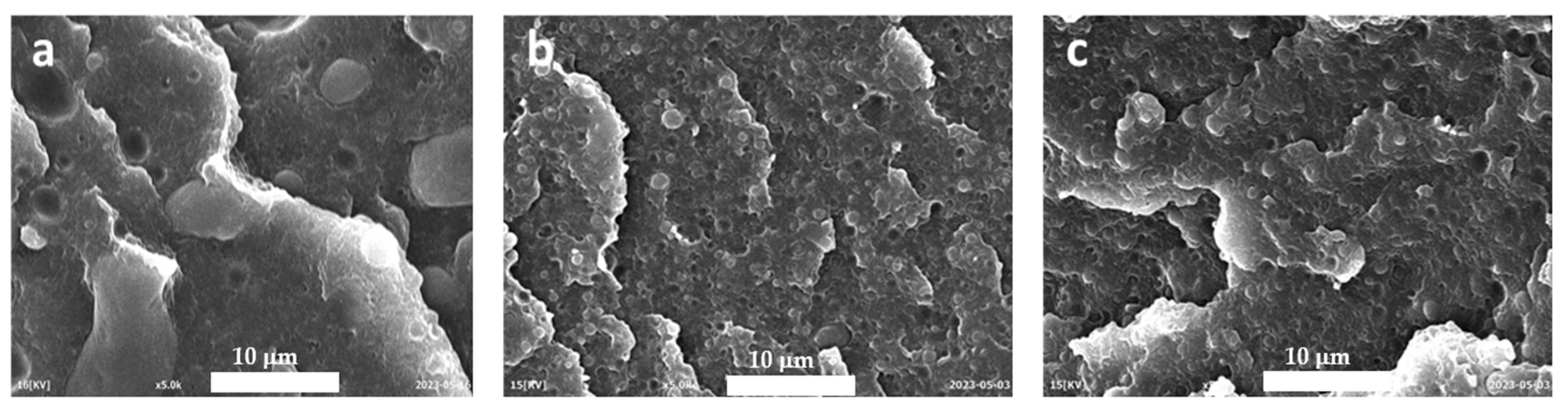 Polymers 15 04178 g007