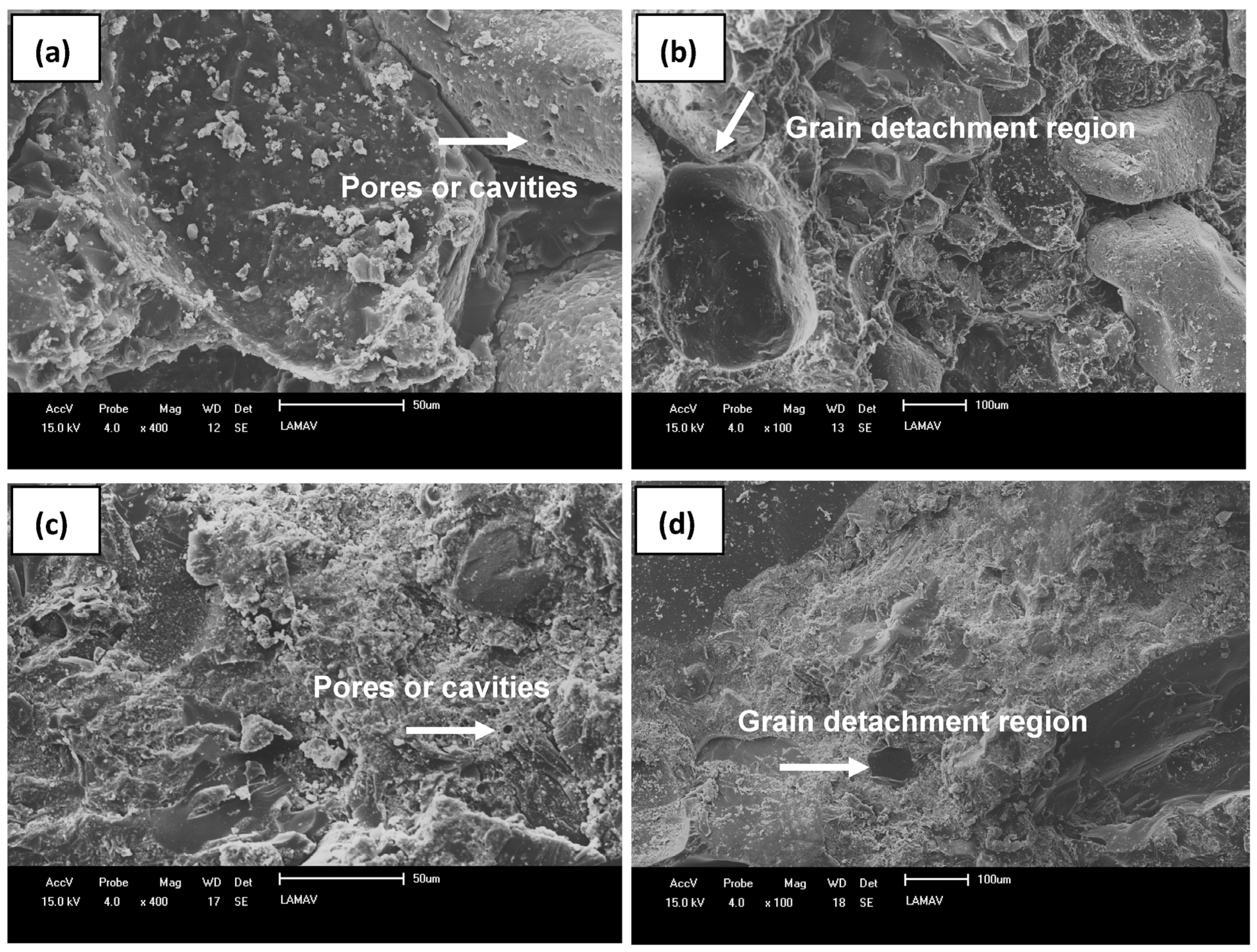 Polymers 15 04181 g005 Polymers 15 04181 g005