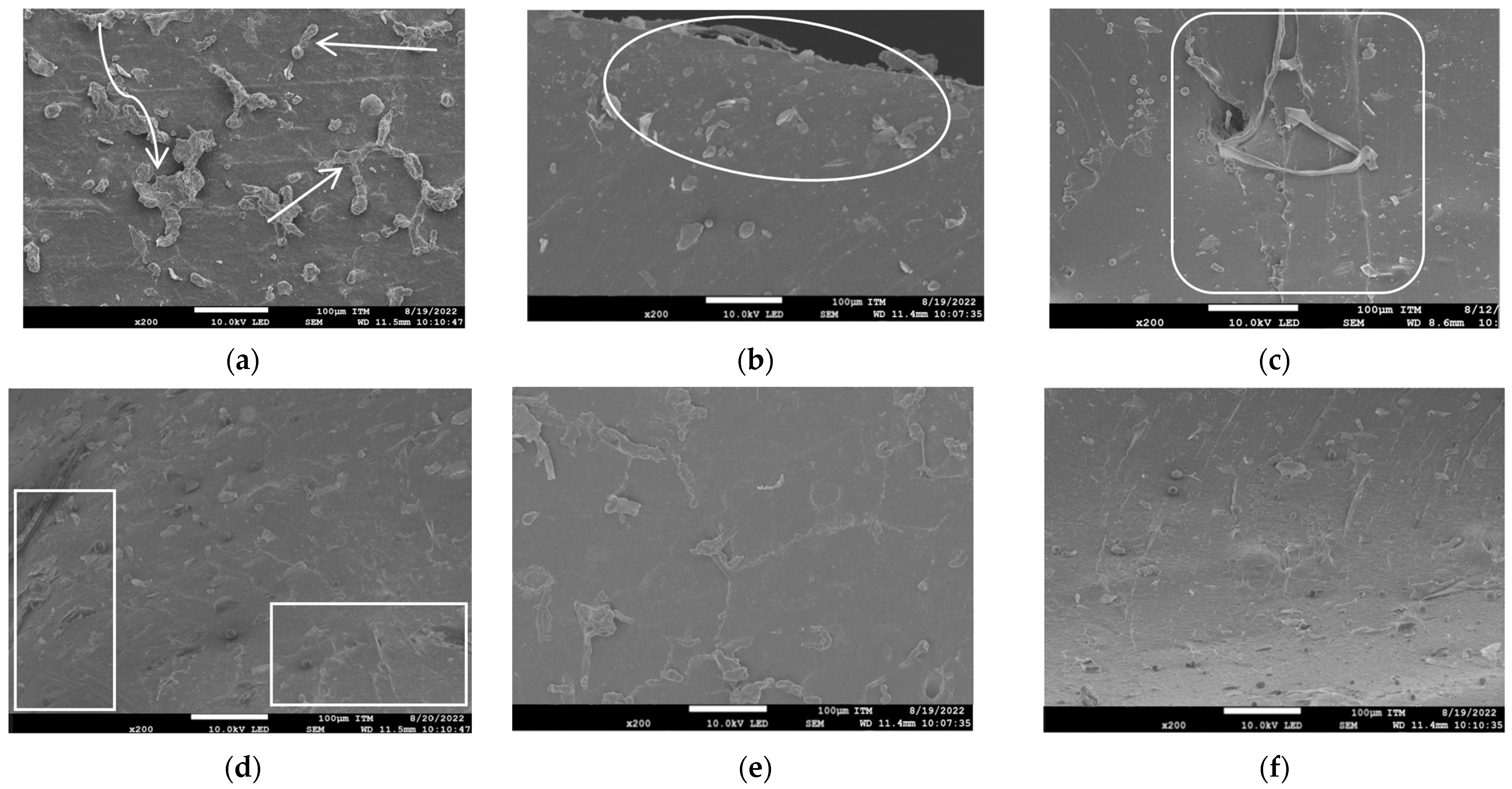 Polymers 15 04183 g010