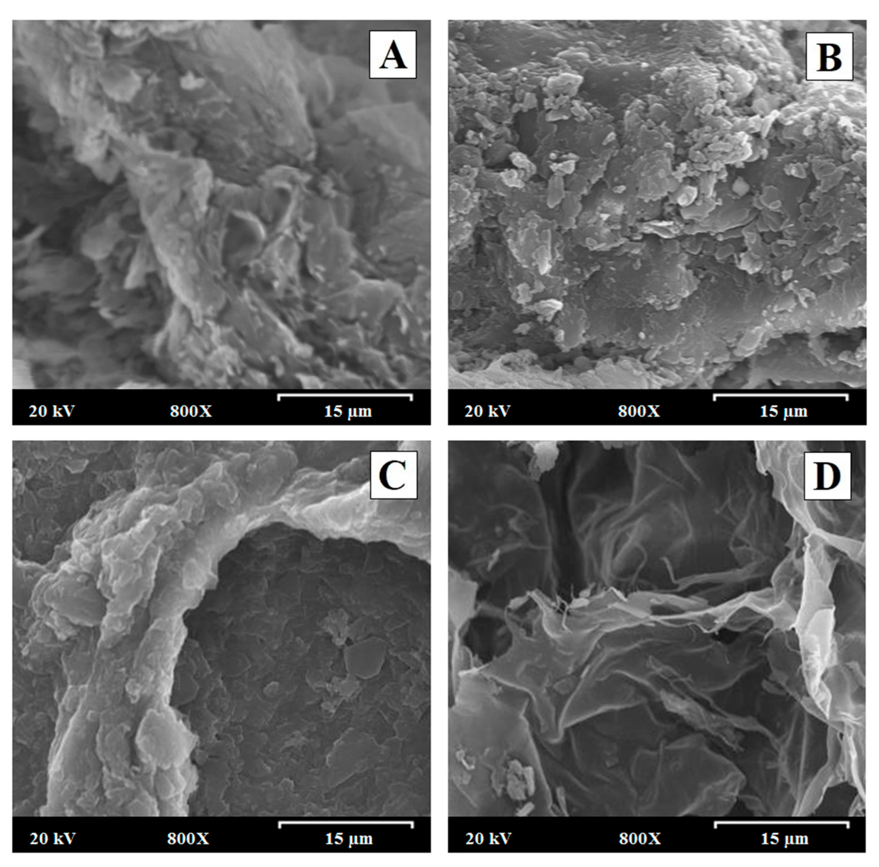 Polymers 15 04184 g002