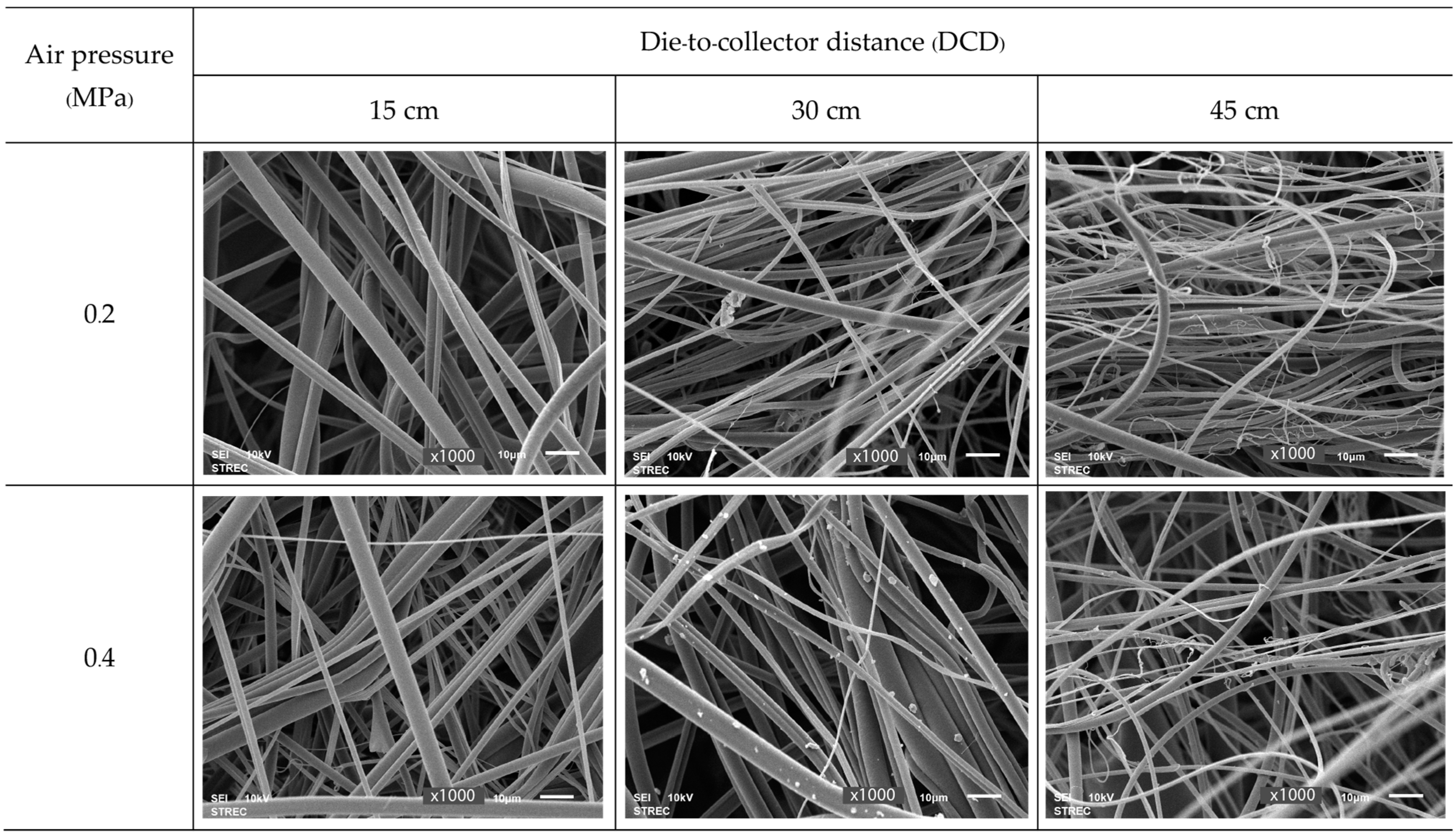 Polymers 15 04189 g006