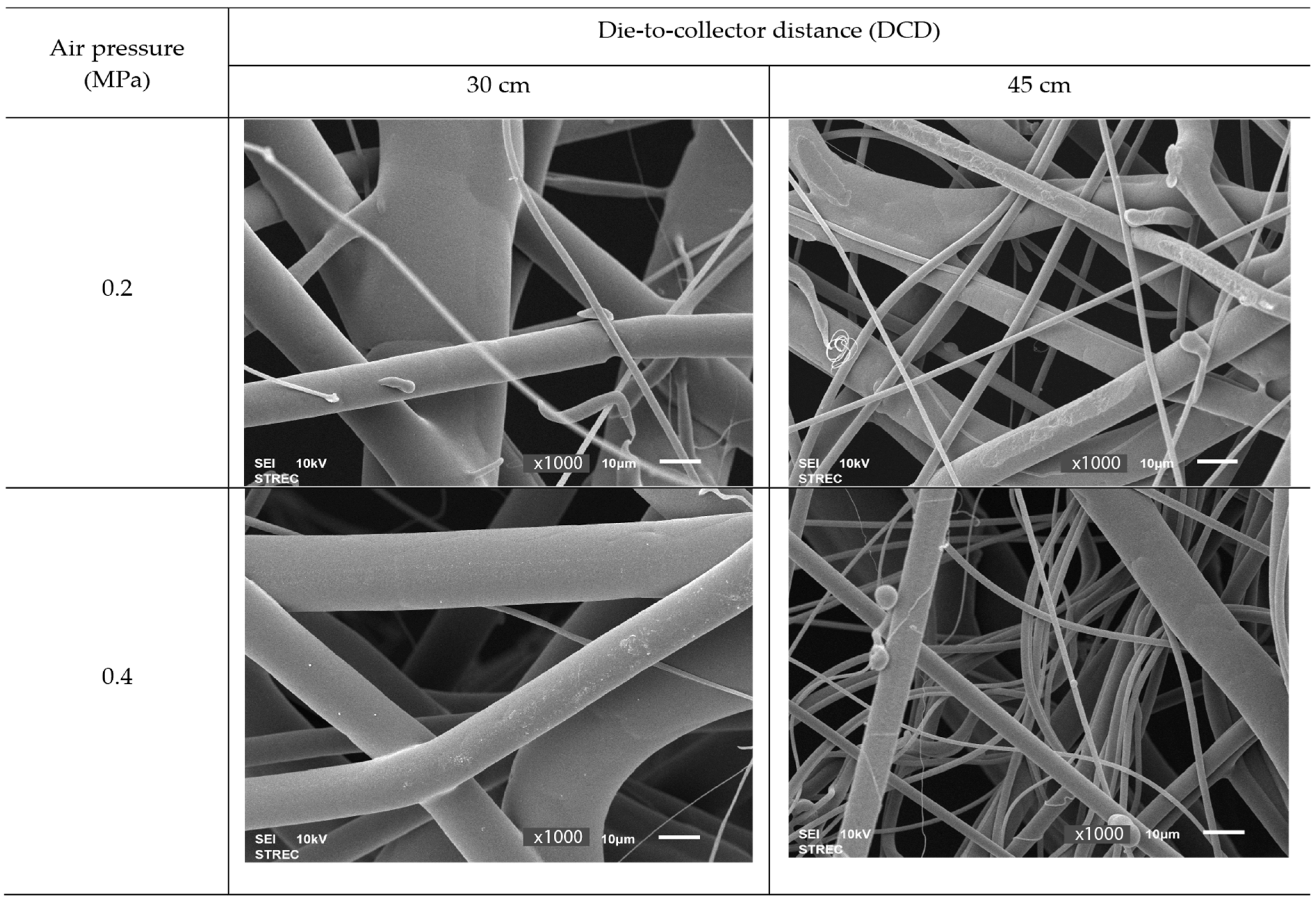 Polymers 15 04189 g008