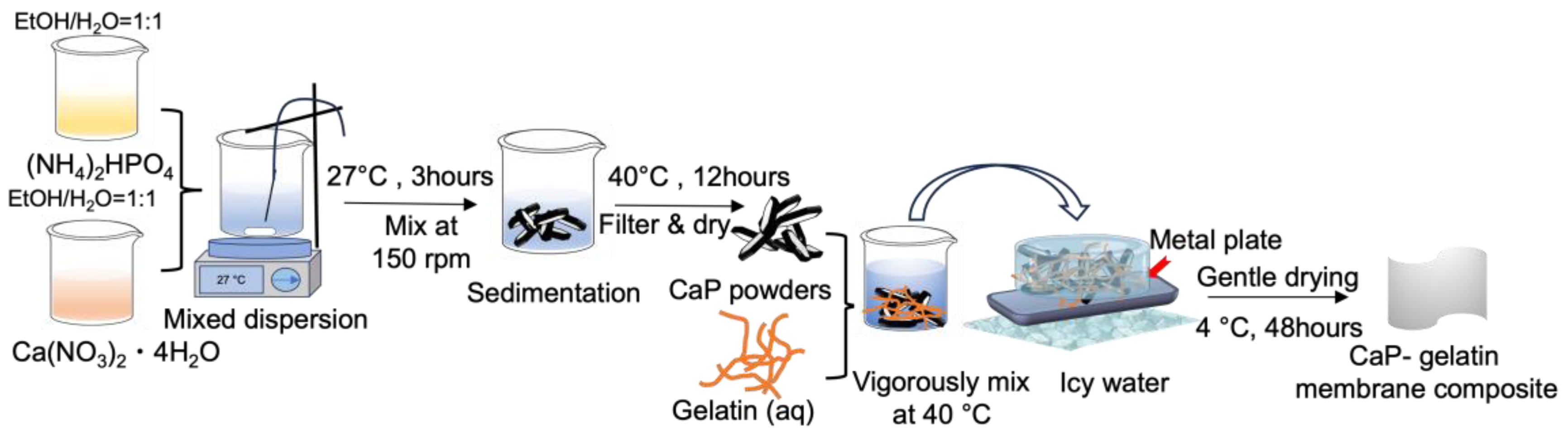 Polymers 15 04190 g001