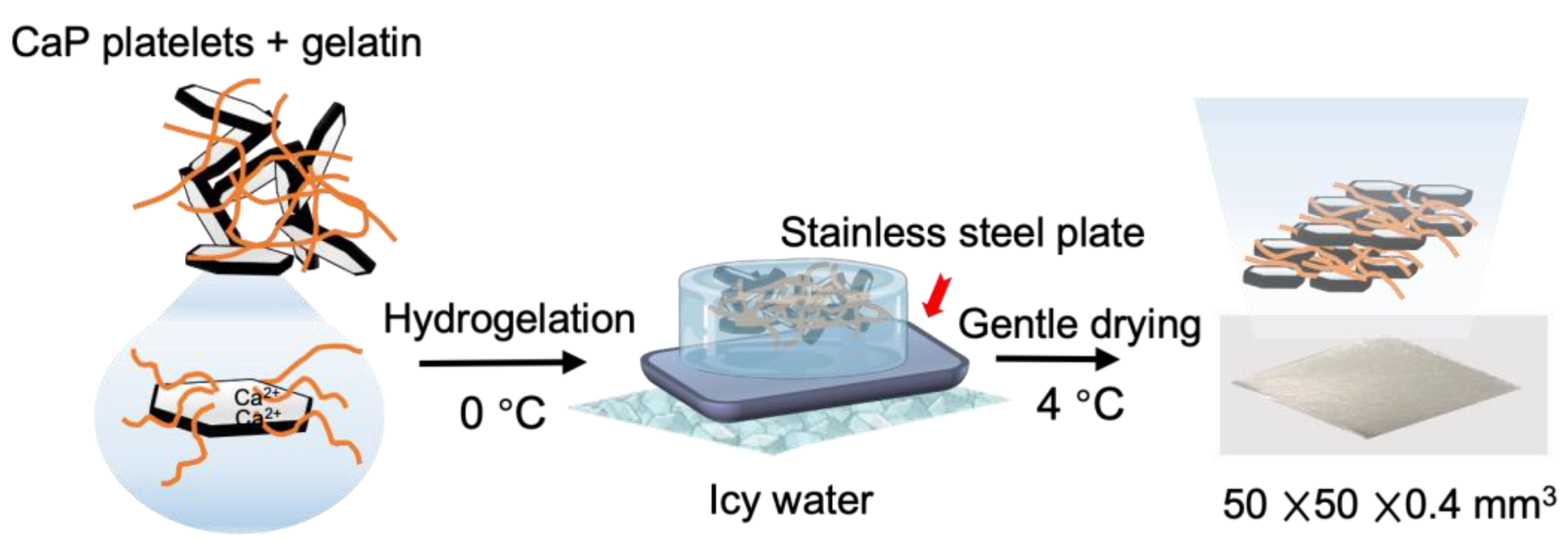 Polymers 15 04190 g007