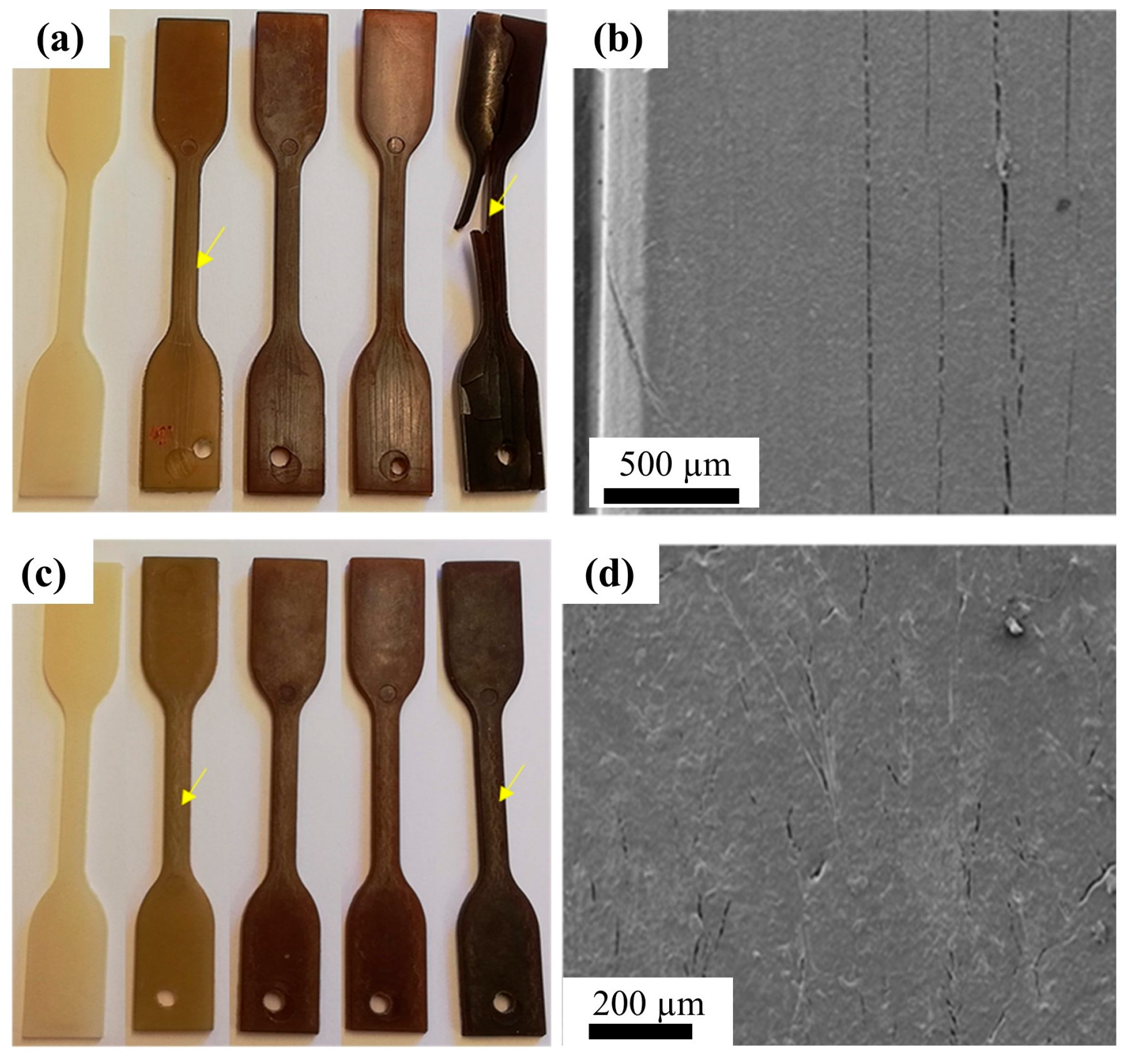 Polymers 15 04192 g011