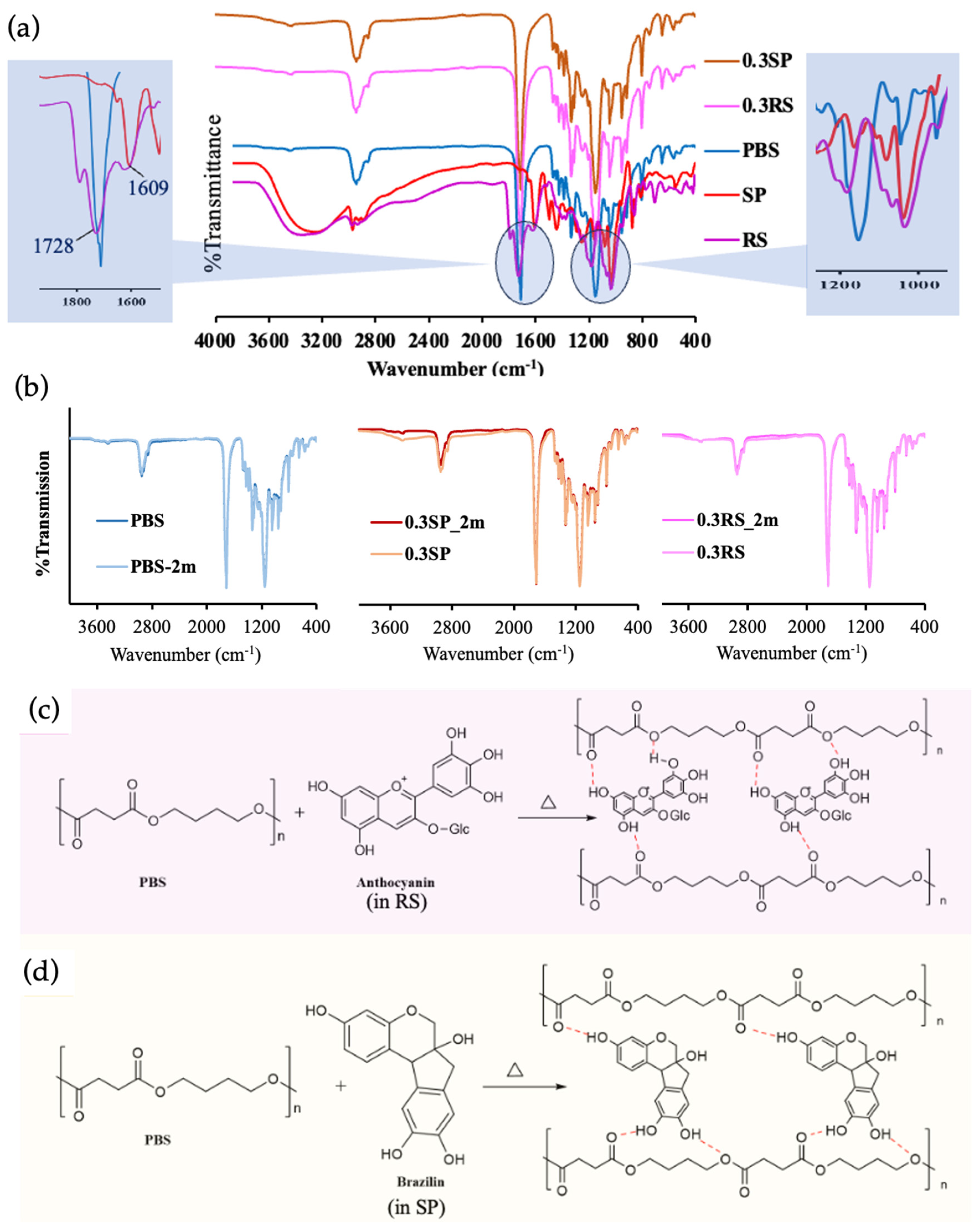 Polymers 15 04193 g002