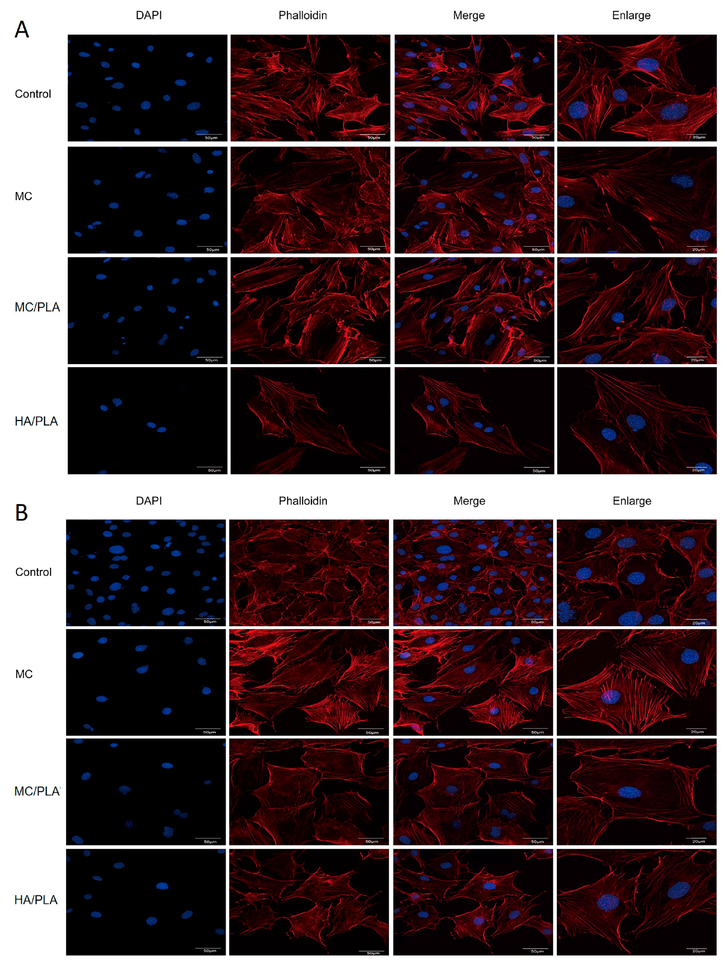 Polymers 15 04194 g002a