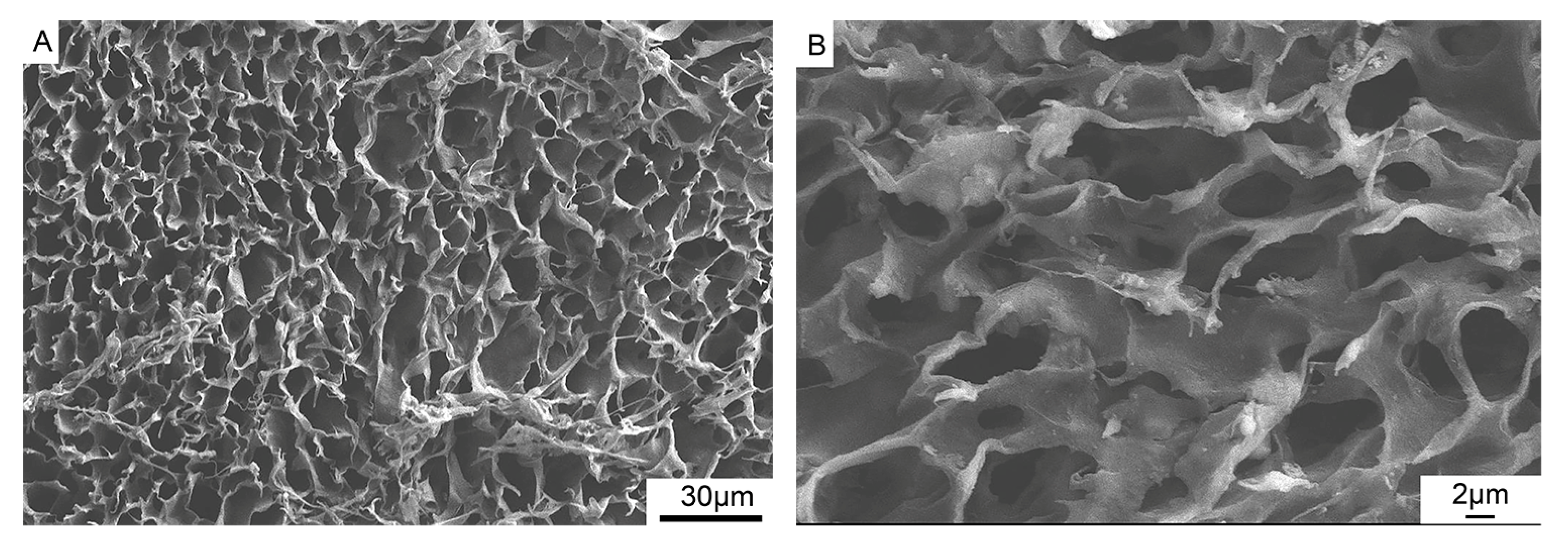 Polymers 15 04194 g004