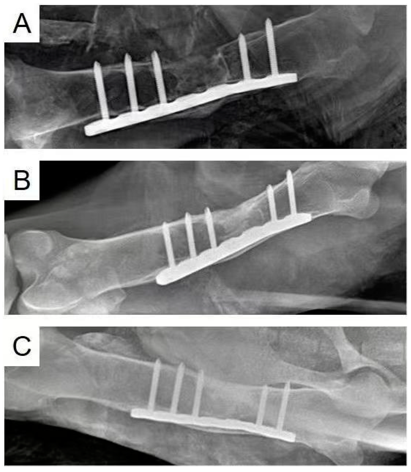 Polymers 15 04194 g006