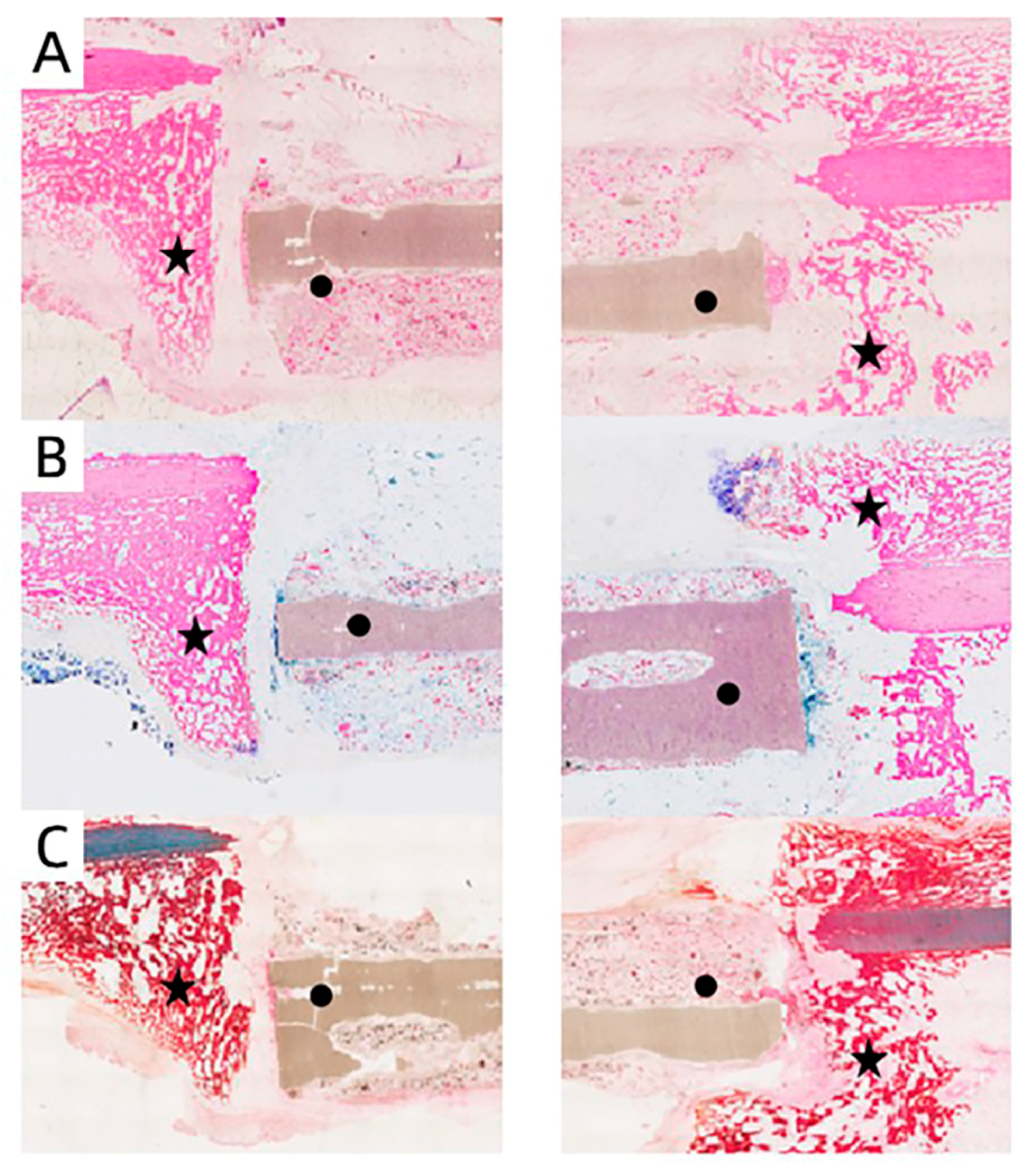 Polymers 15 04194 g008