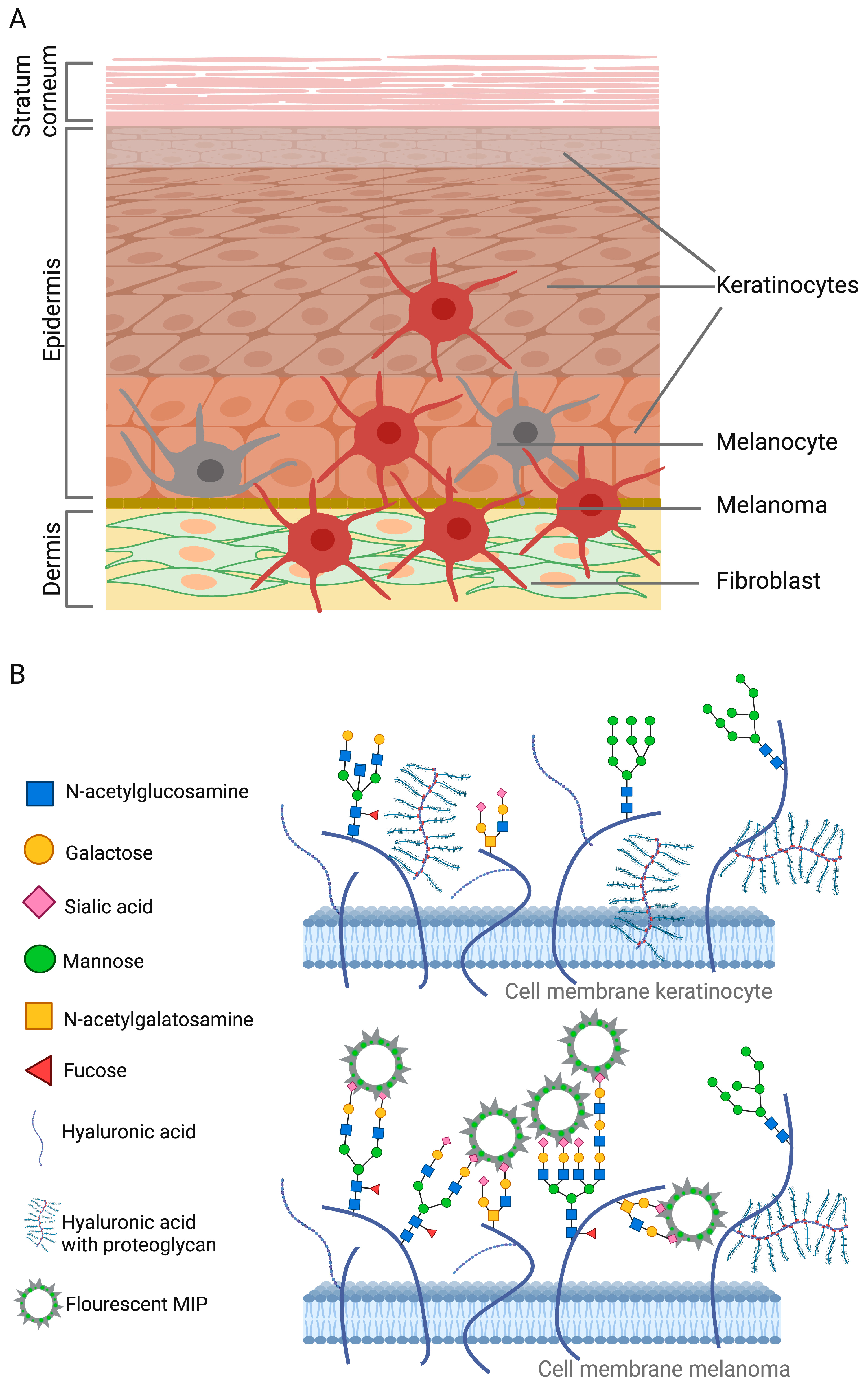Polymers 15 04199 g002