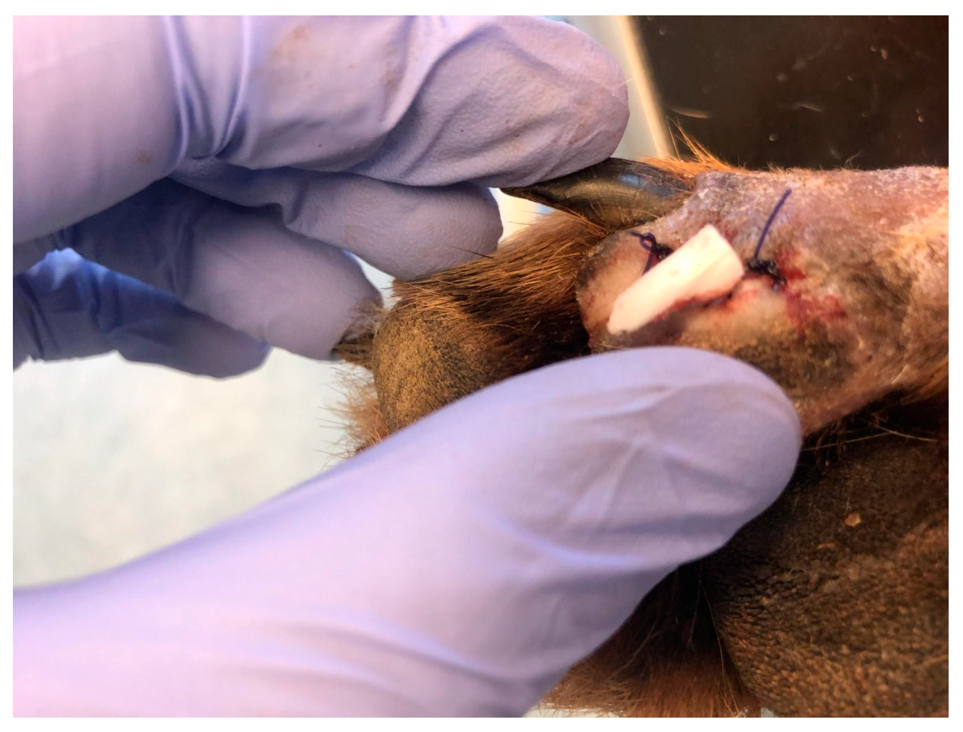 Polymers 15 04201 g003